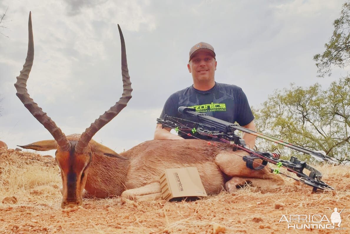 Impala Bow Hunt South Africa