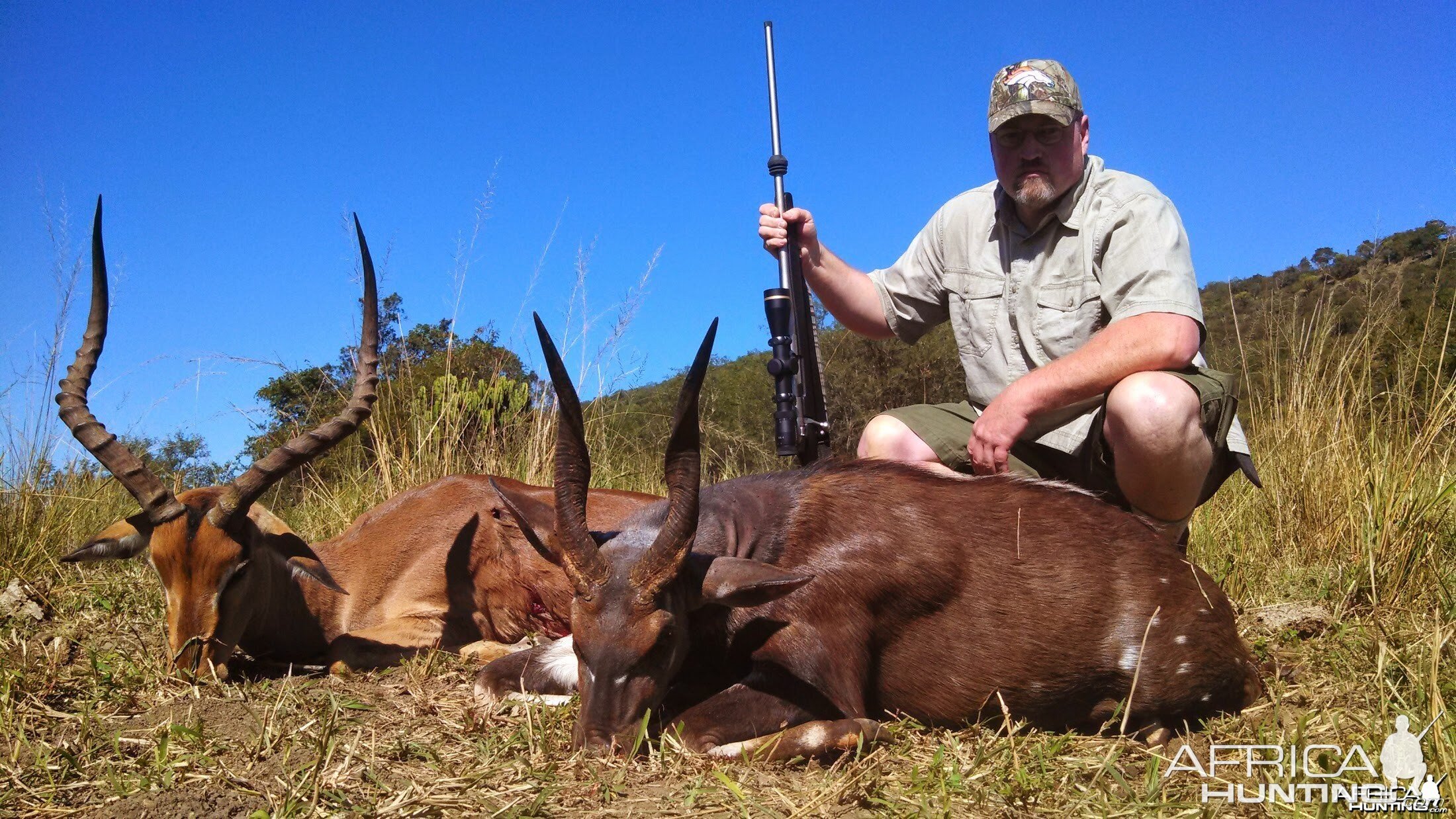 Impala Bushbuck