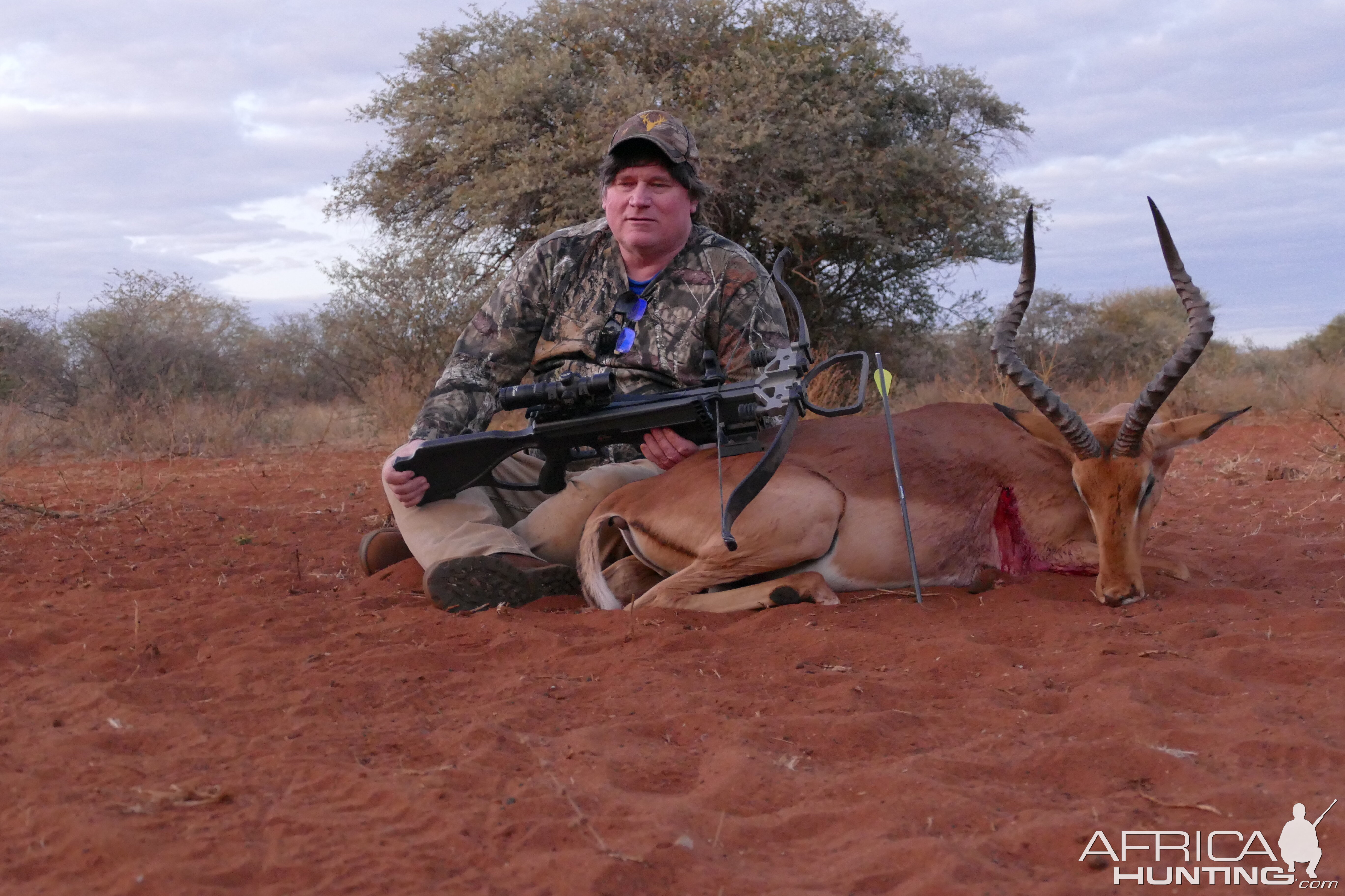 Impala Crossbow Hunt South Africa