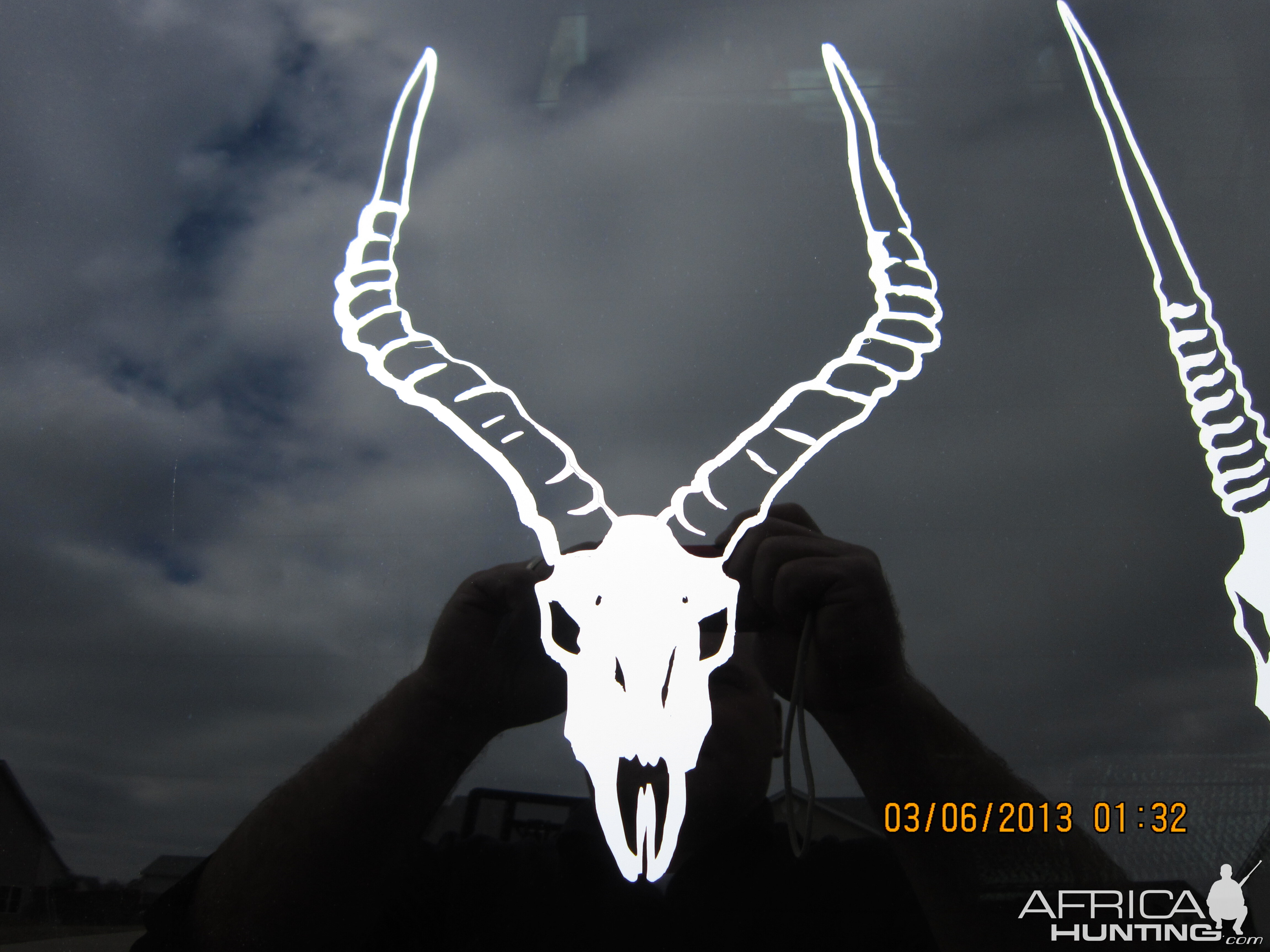 Impala Decal Stickers | AfricaHunting.com