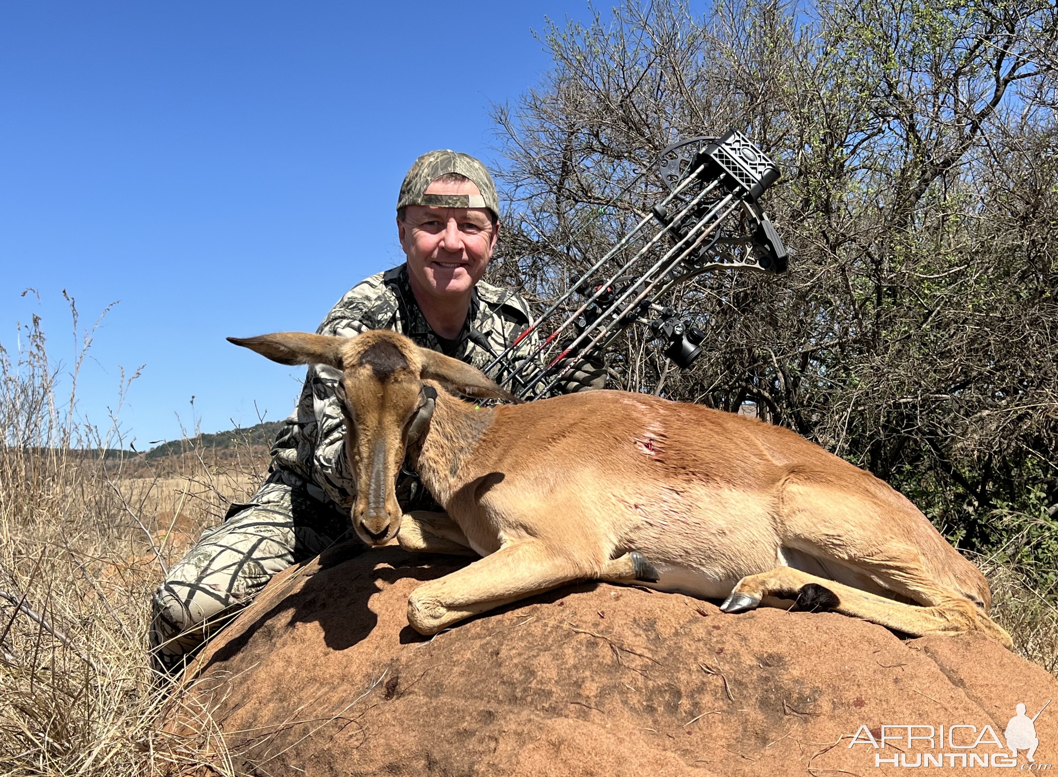 Impala Ewe Bow Hunting South Africa