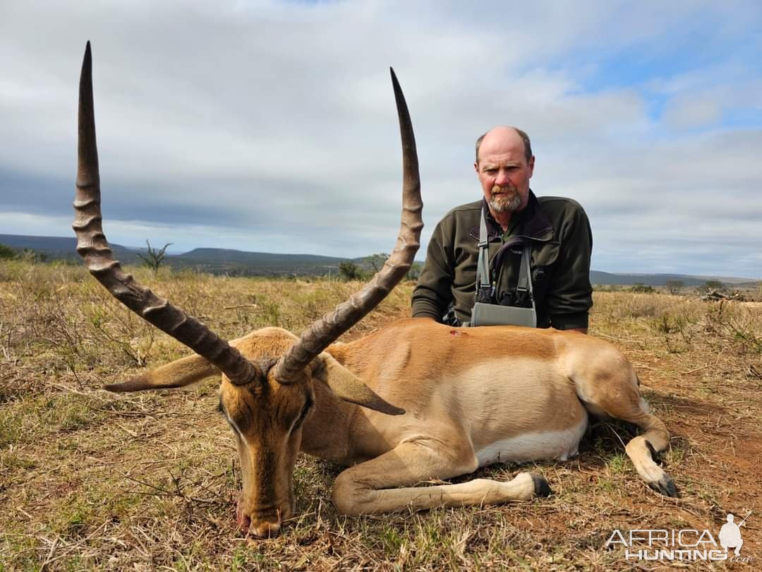 Impala Hunt Eastern Cape South Africa