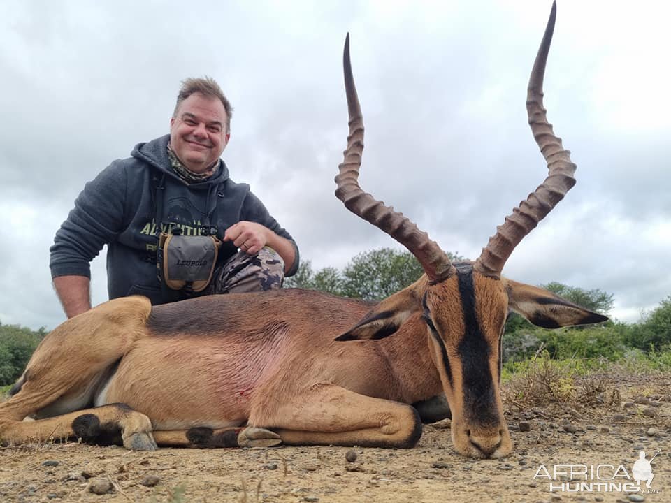 Impala Hunt Eastern Cape South Africa