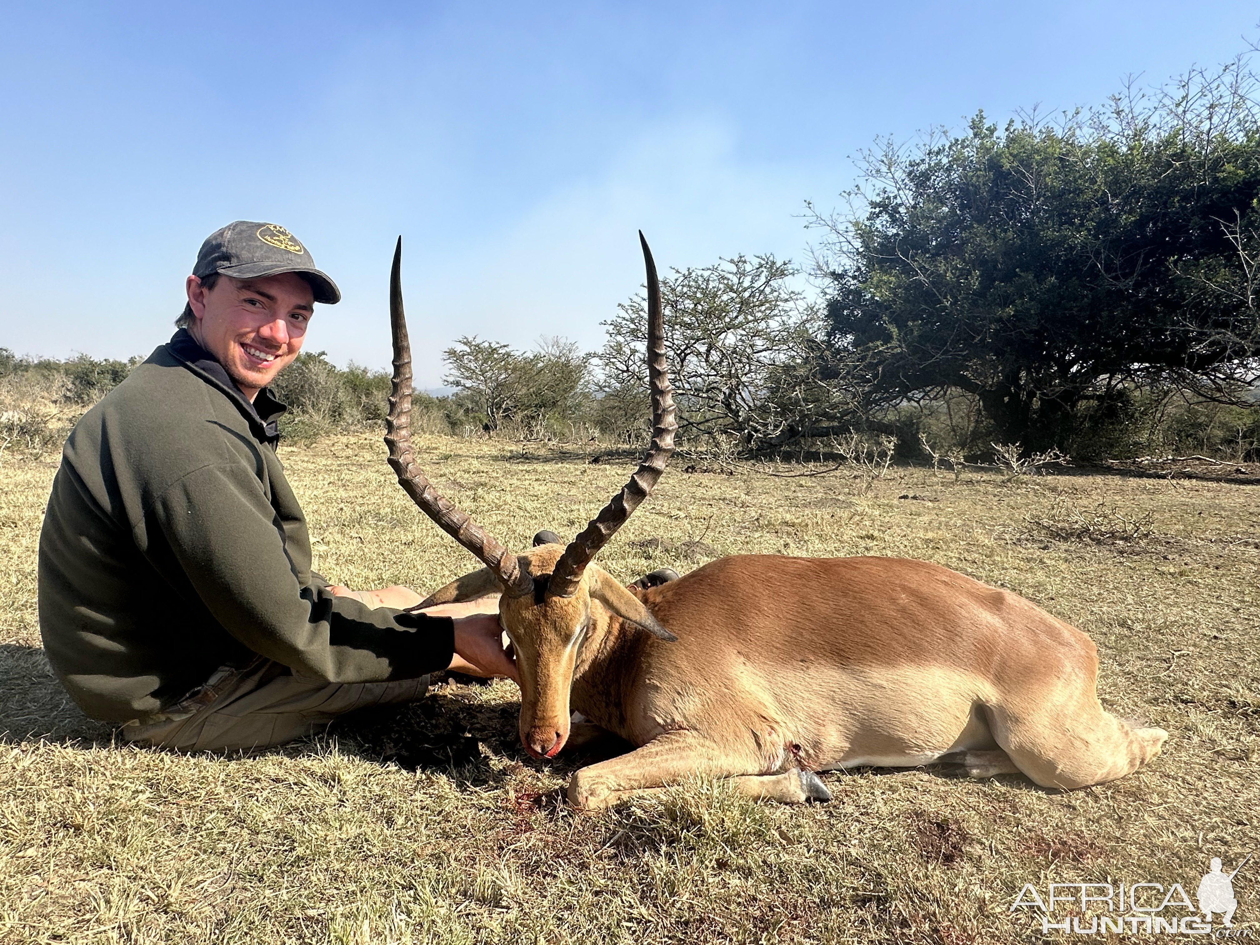 Impala Hunt Eastern Cape South Africa