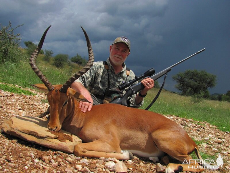 Impala Hunt in Namibia