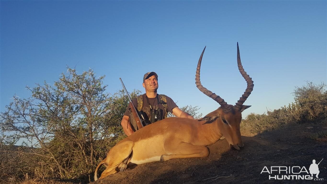 Impala Hunt in  South Africa