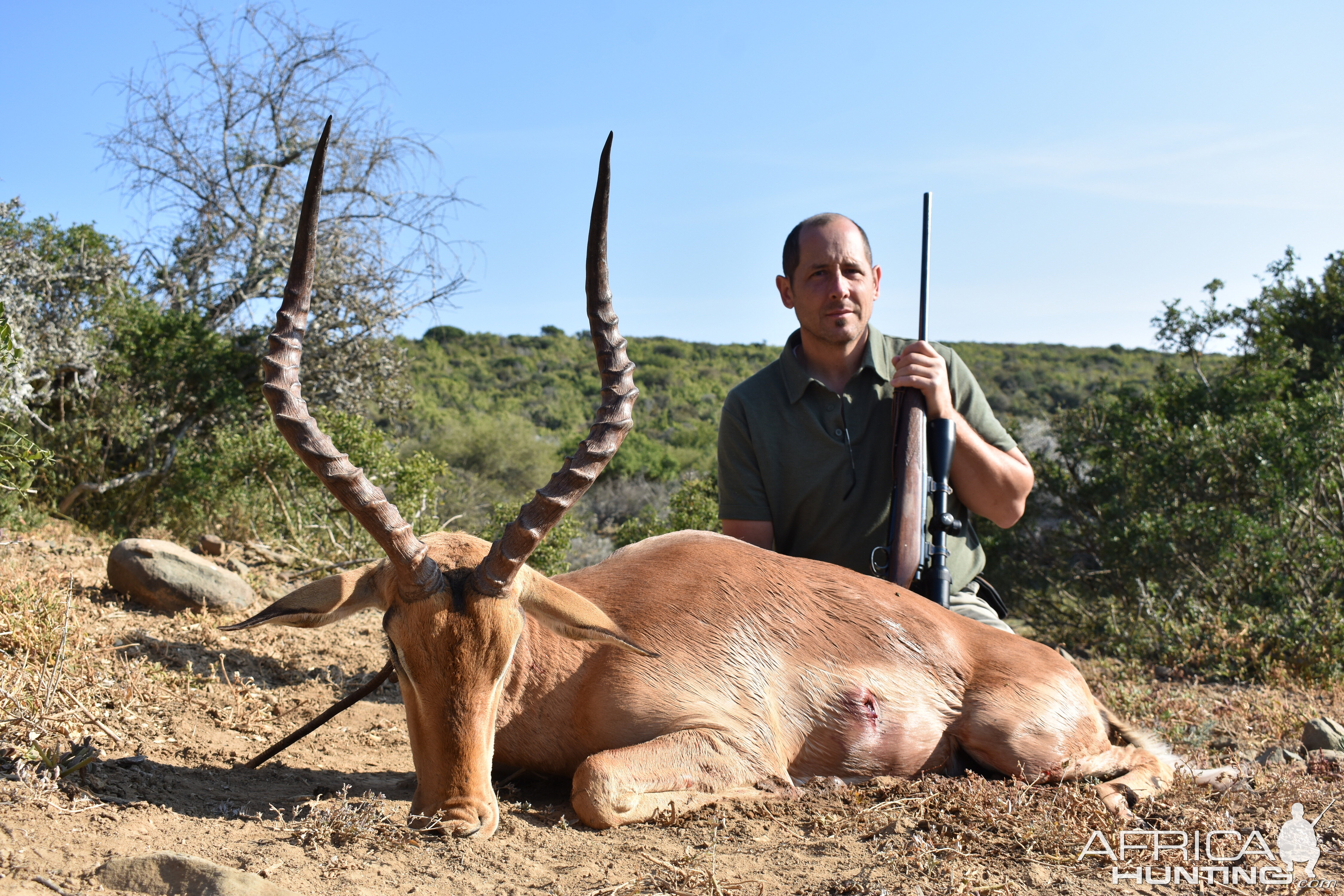 Impala Hunt in South Africa