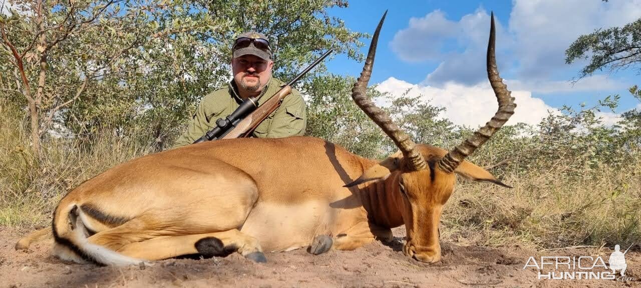 Impala Hunt Limpopo South Africa