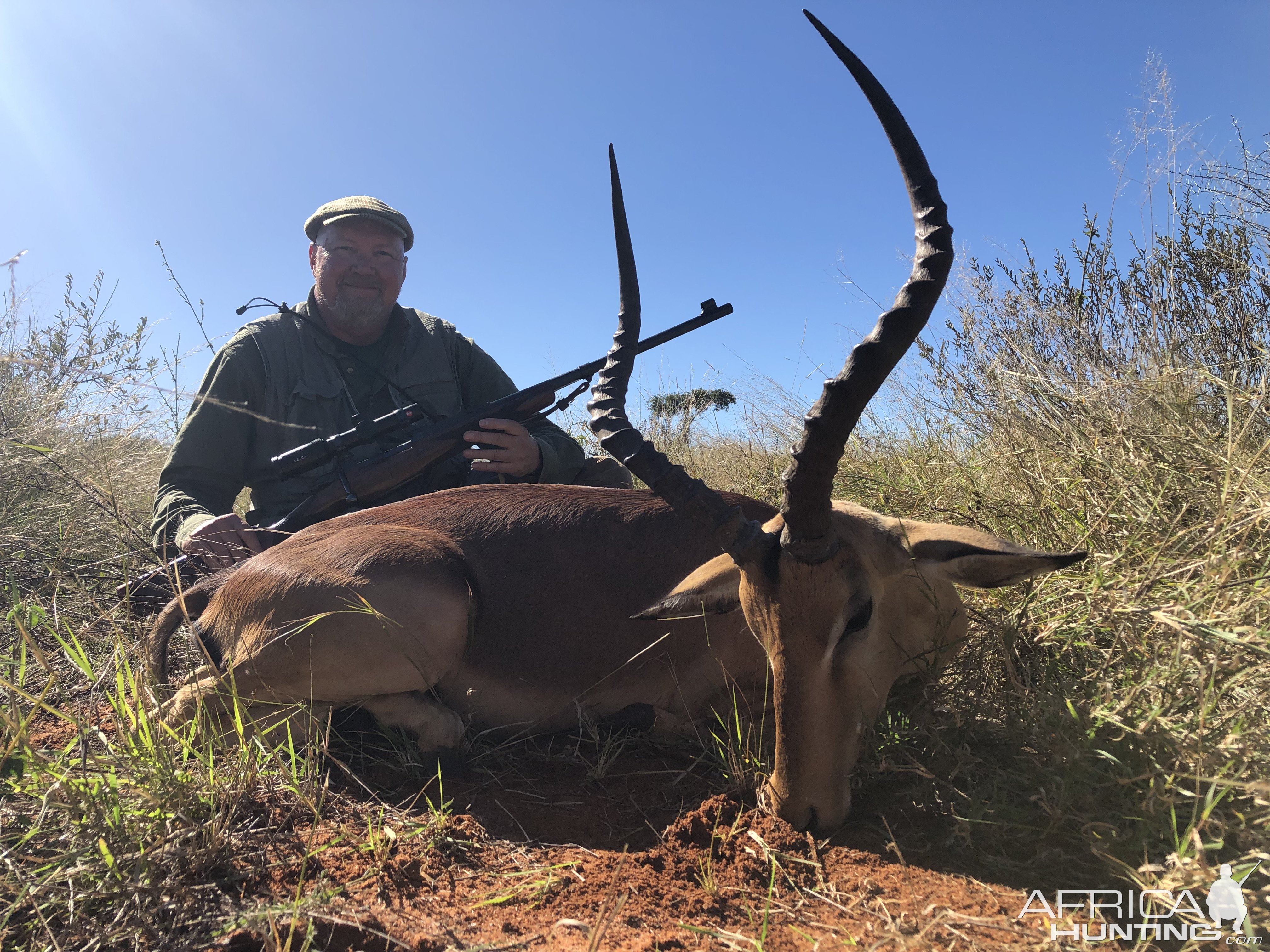 Impala Hunt Limpopo South Africa