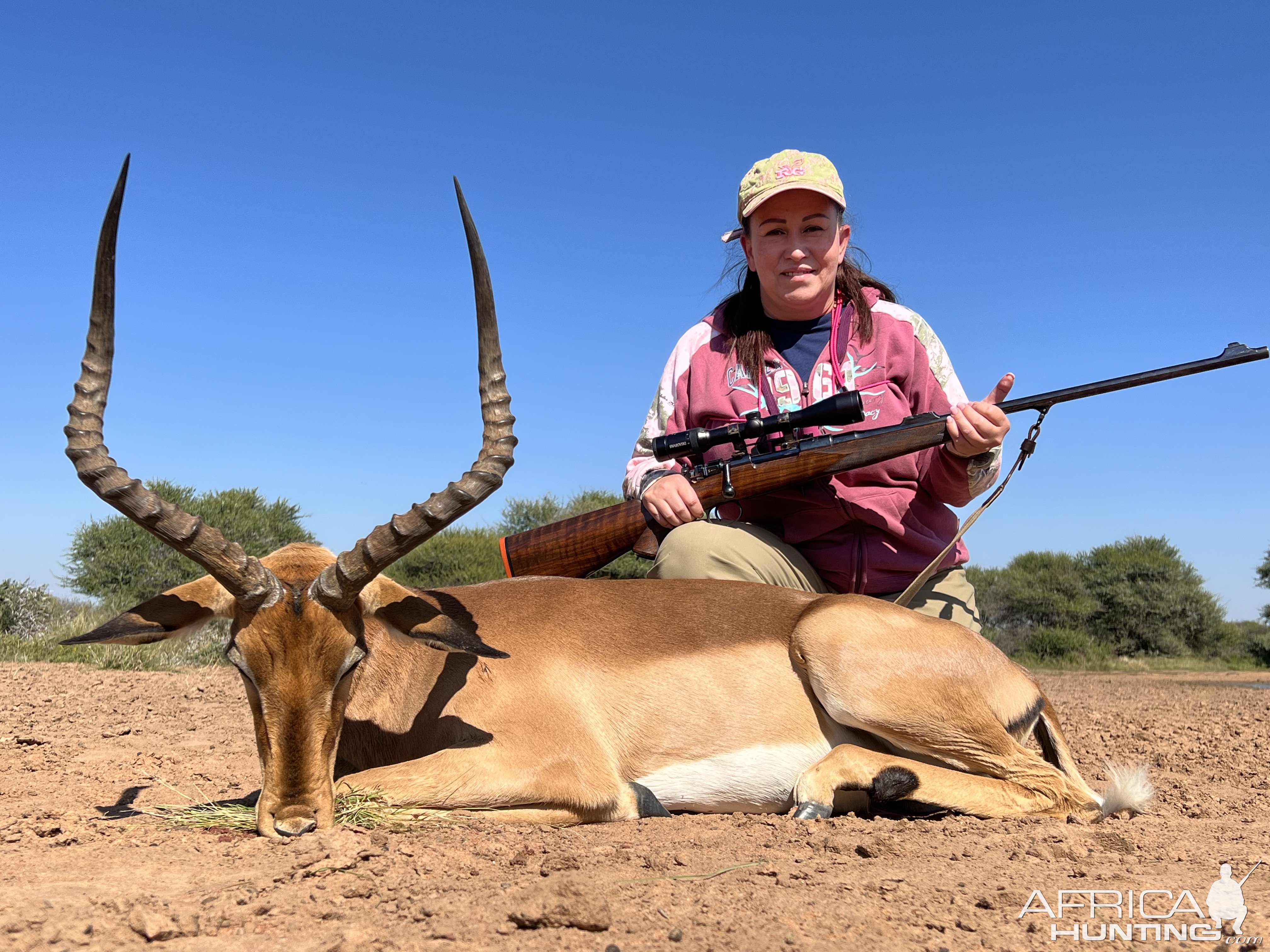 Impala Hunt Limpopo South Africa