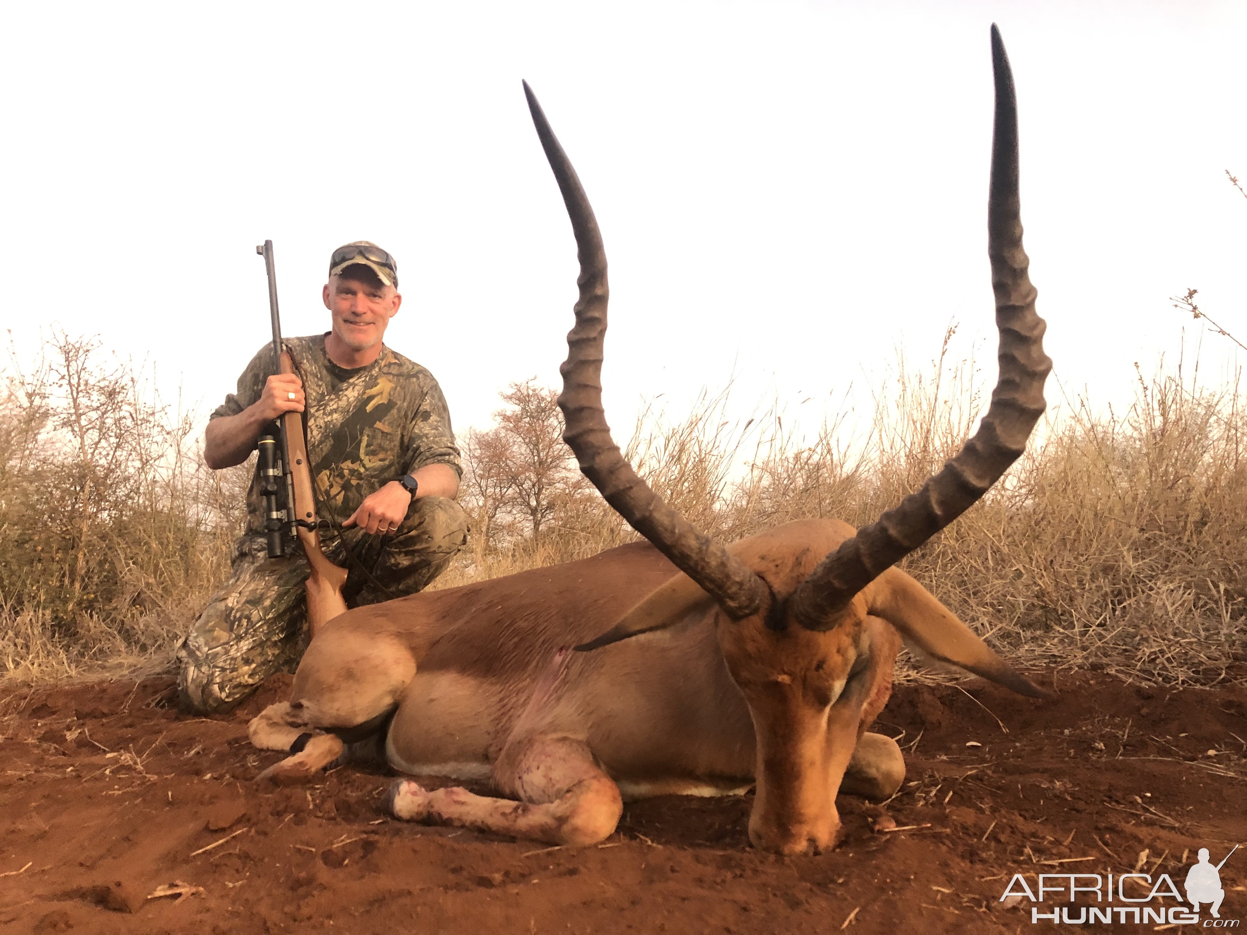 Impala Hunt Limpopo South Africa