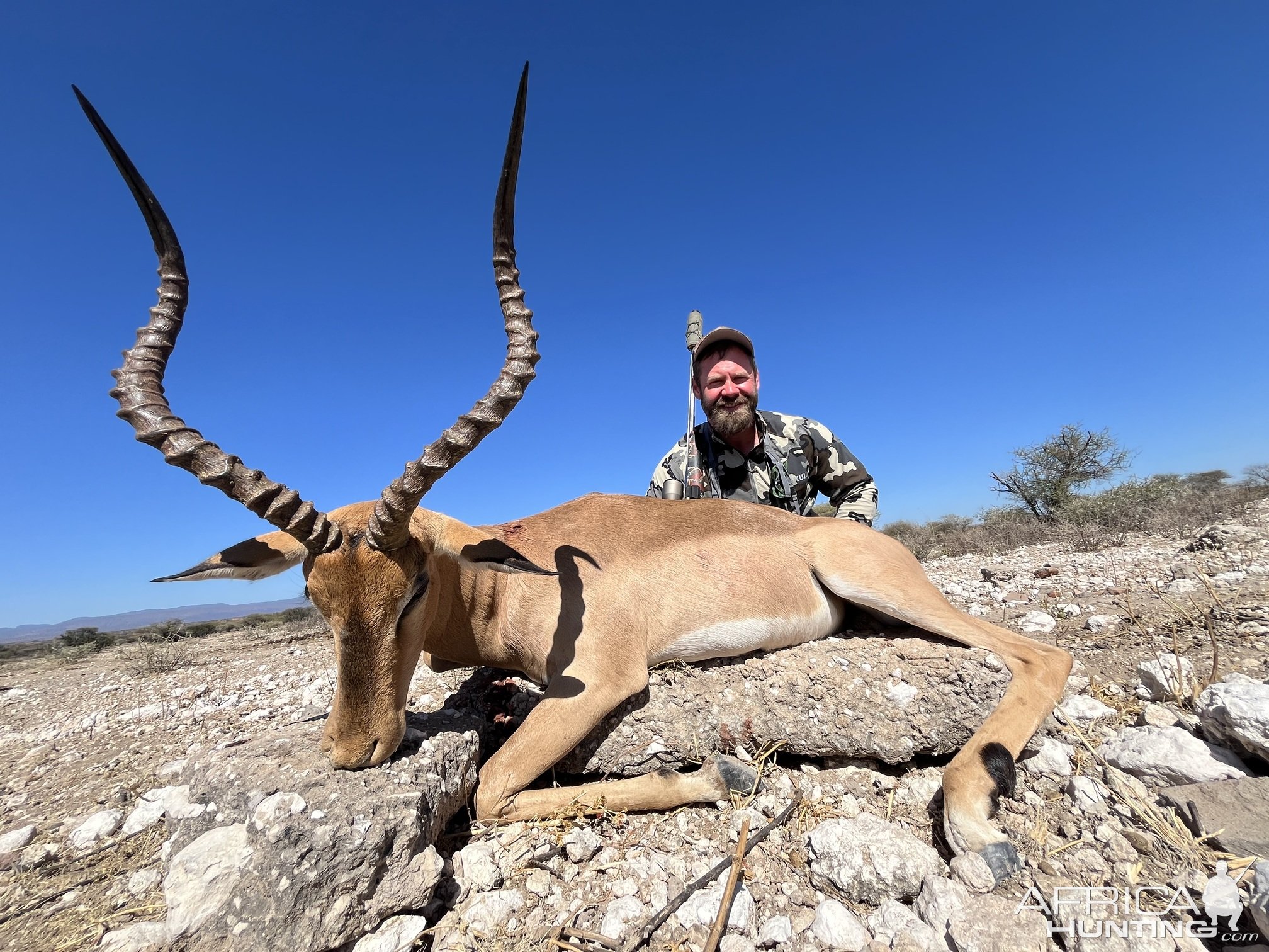 Impala Hunt Limpopo South Africa