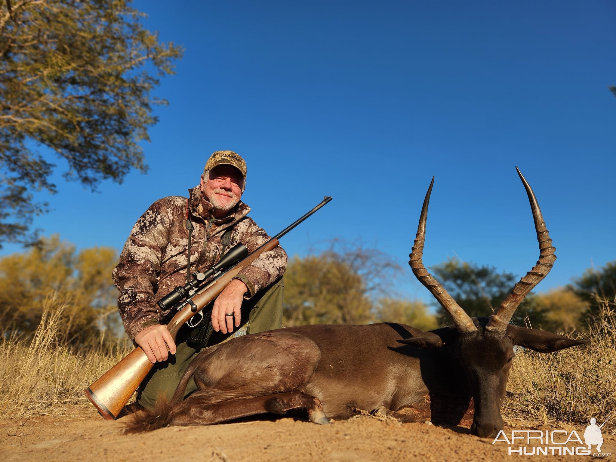 Impala Hunt Limpopo South Africa