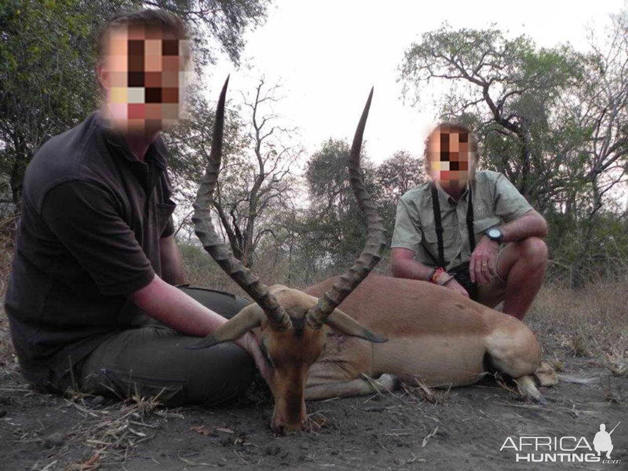 Impala Hunt Mozambique