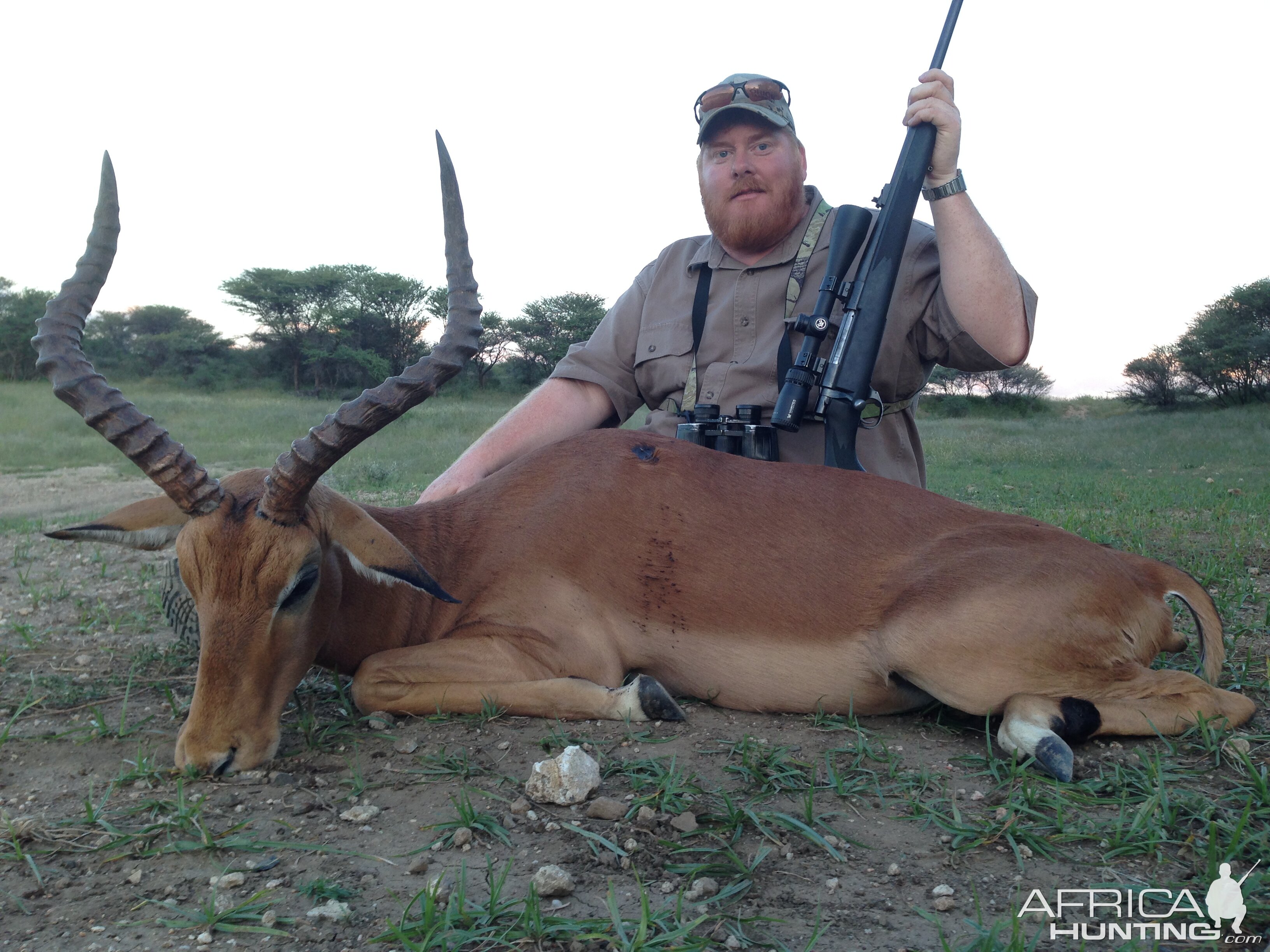 Impala Hunt Namibia