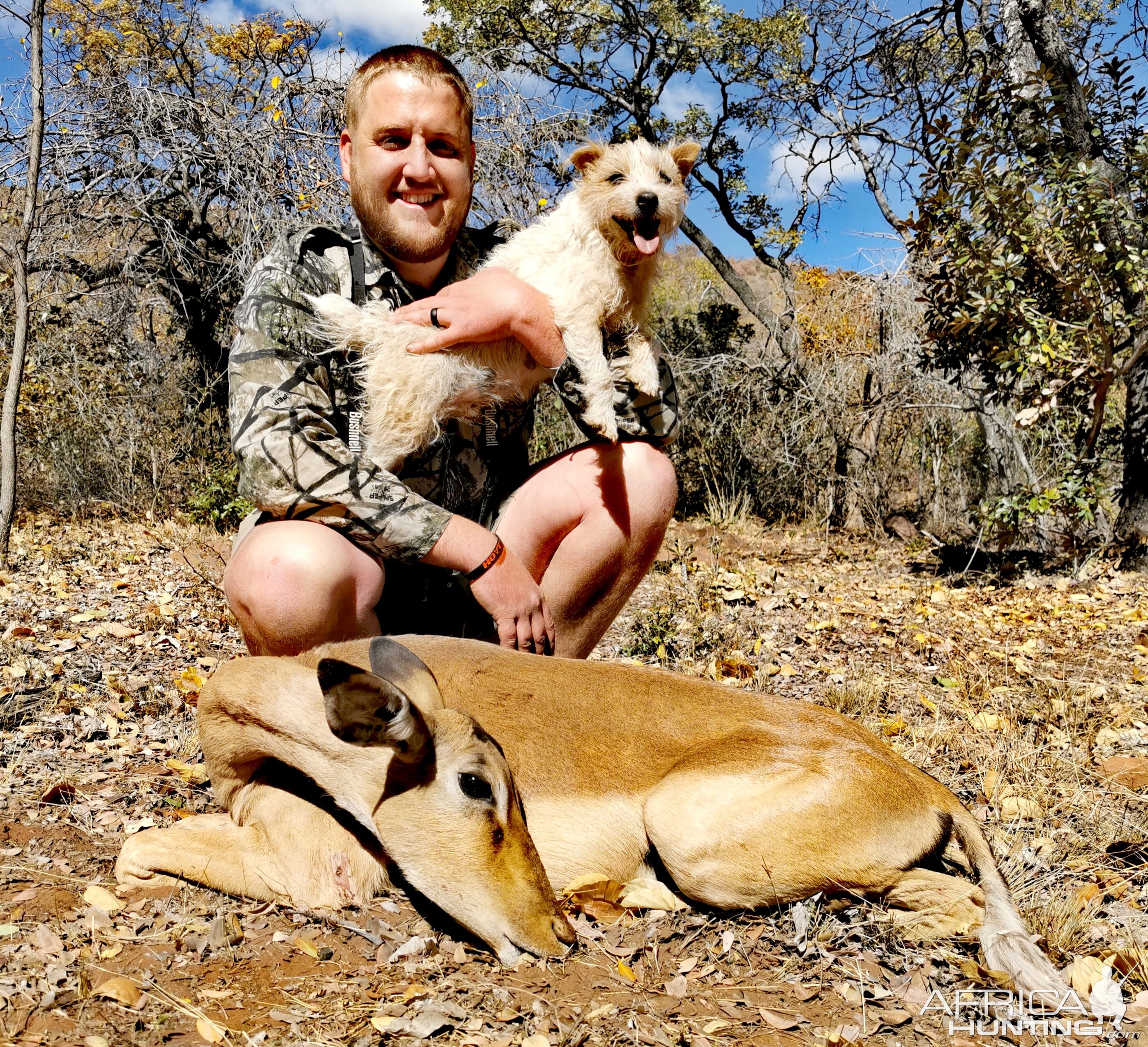 Impala Hunt South Africa