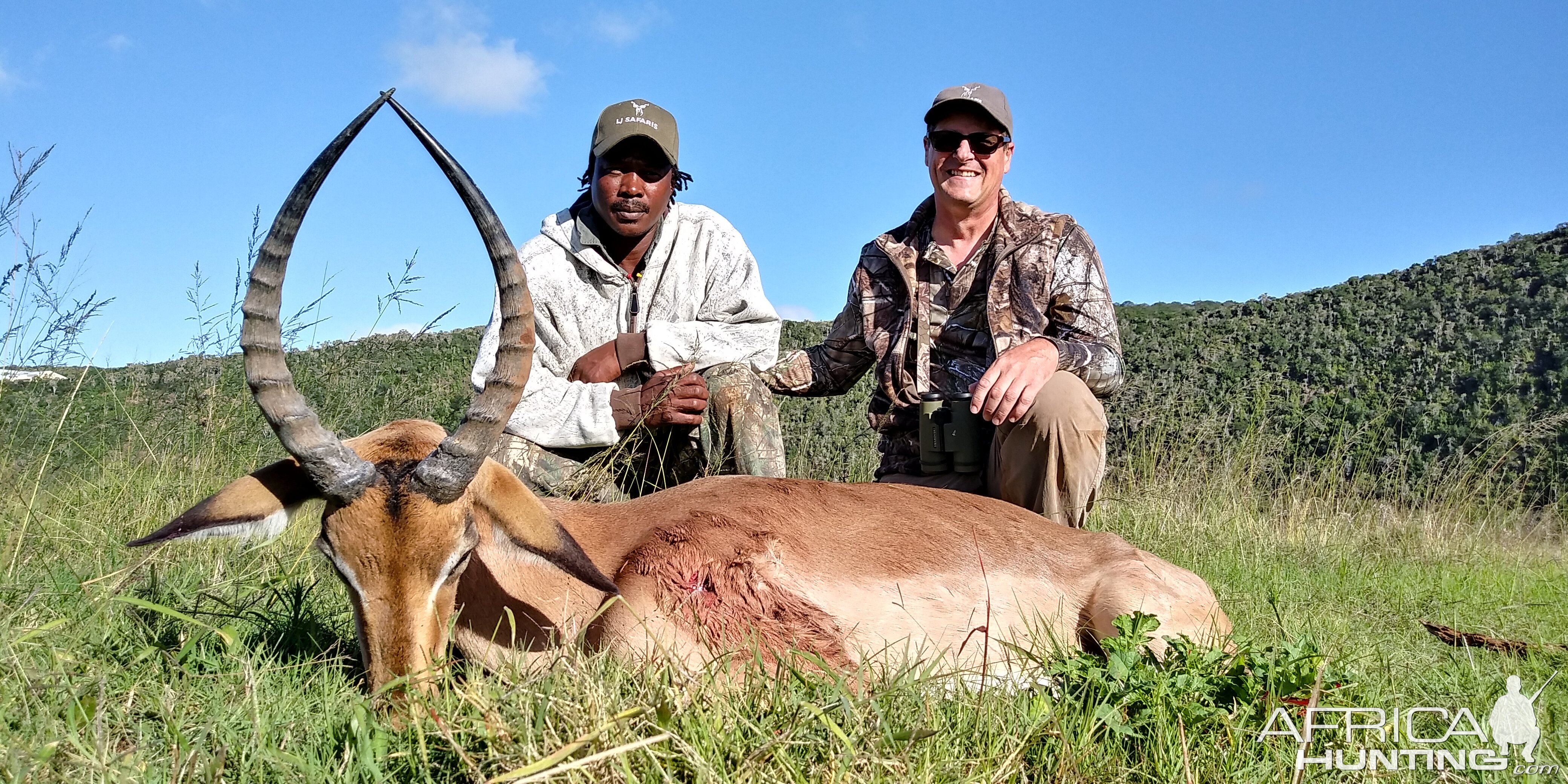 Impala Hunt South Africa