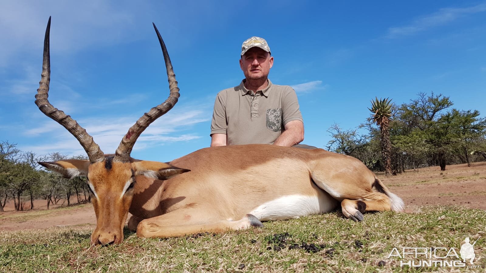 Impala Hunt South Africa