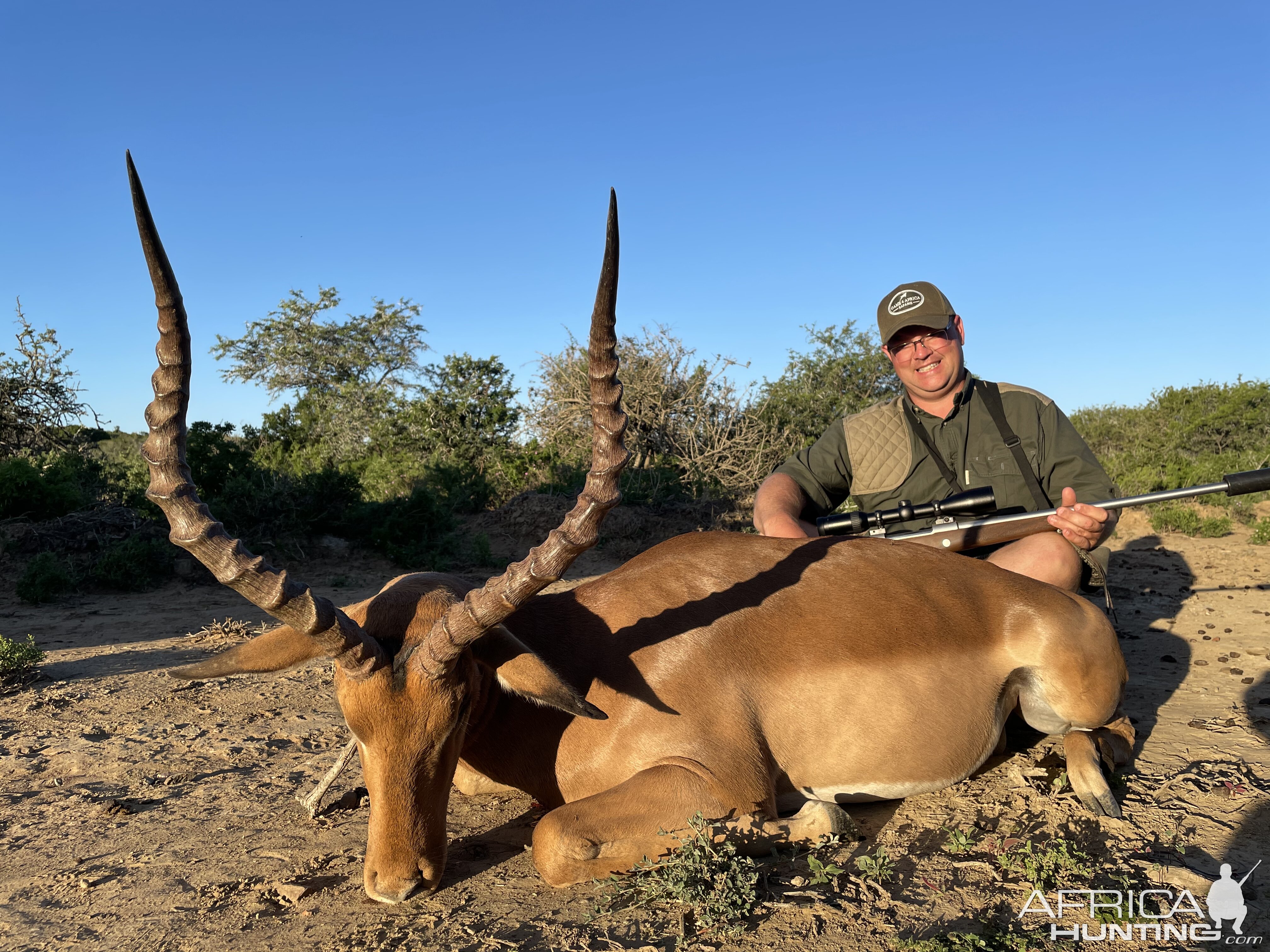 Impala Hunt South Africa