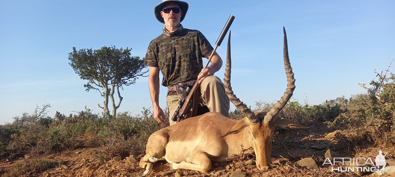 Impala Hunt South Africa