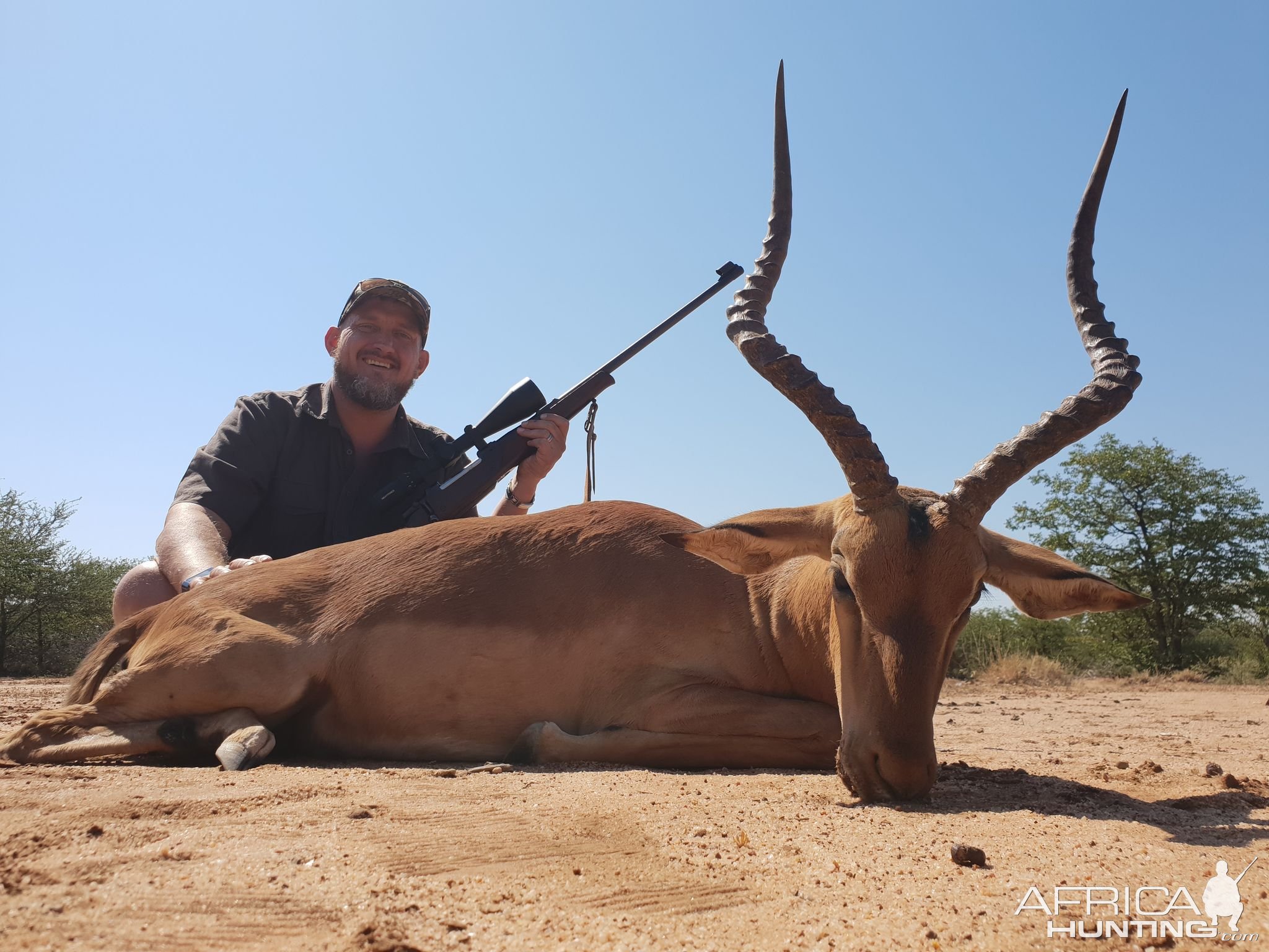 Impala Hunt South Africa