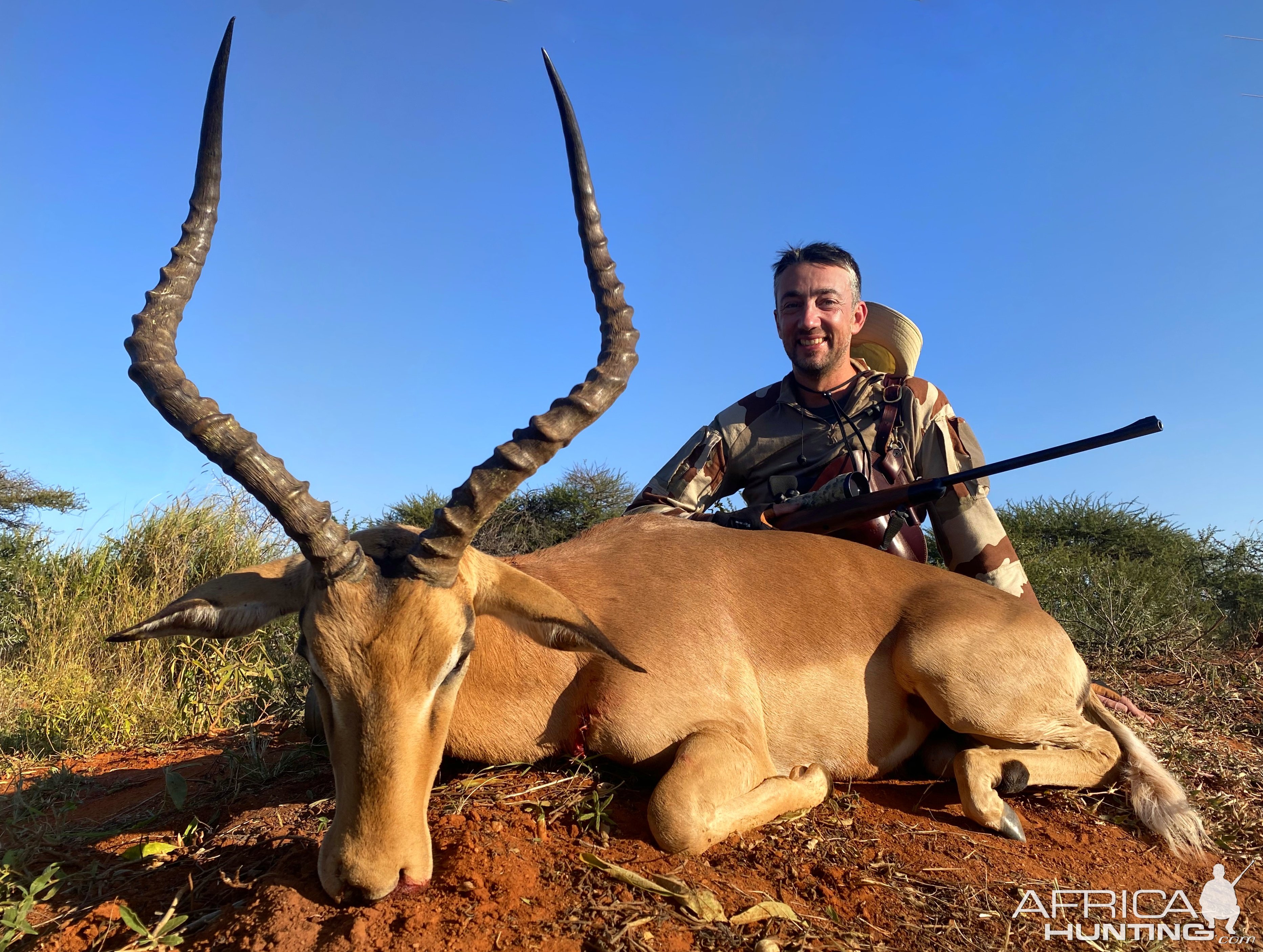 Impala Hunt South Africa