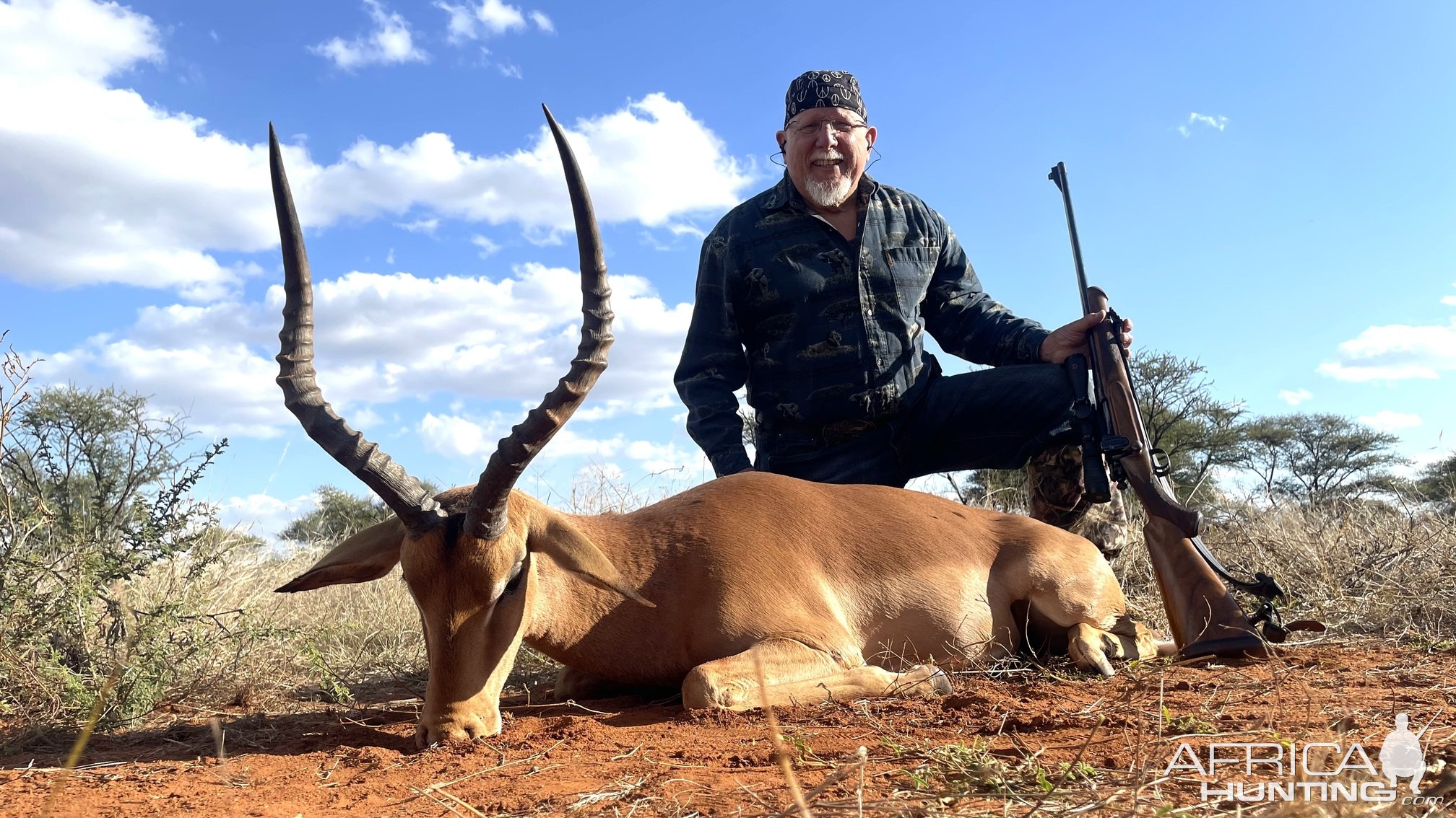 Impala Hunt South Africa 