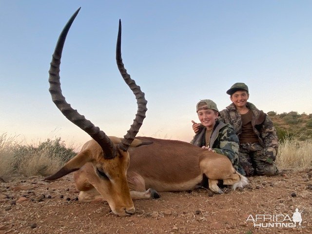 Impala Hunt South Africa