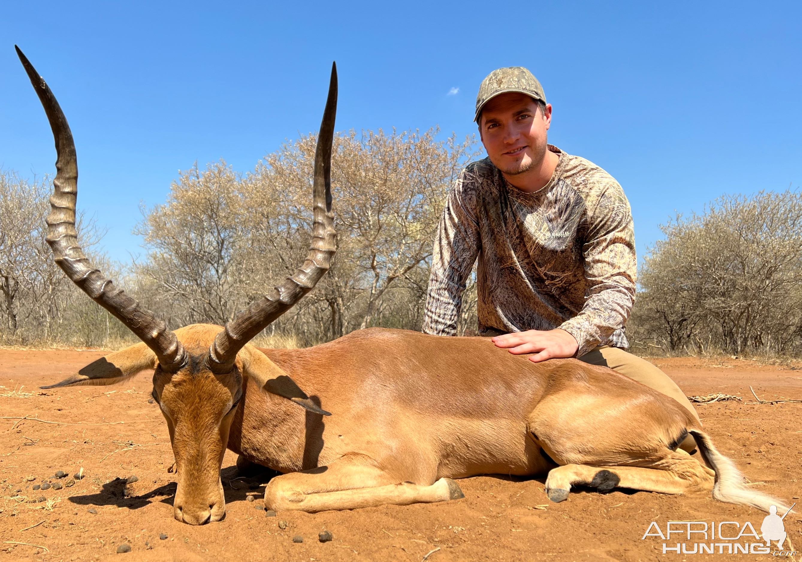 Impala Hunt South Africa