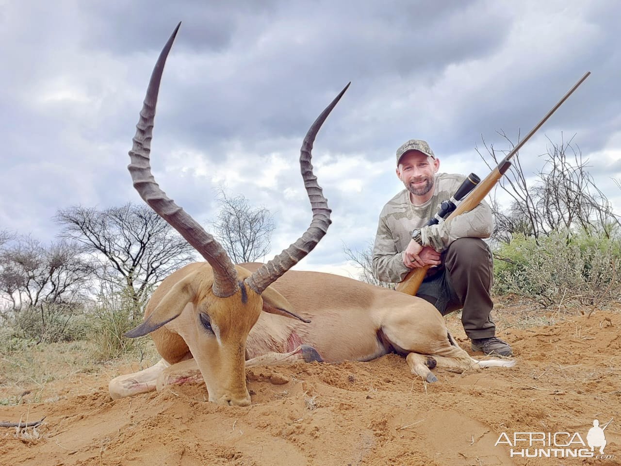 Impala Hunt South Africa