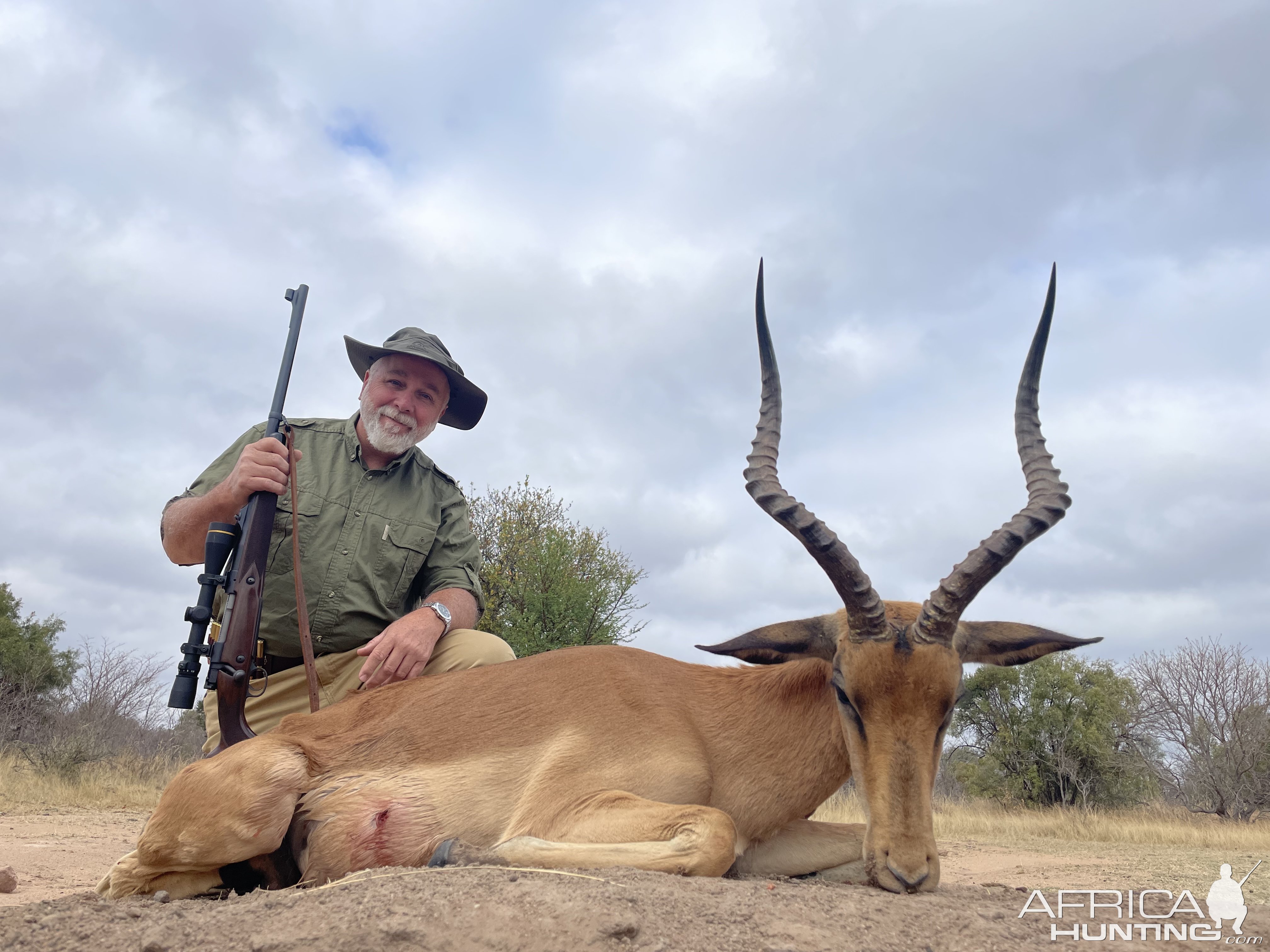 Impala Hunt South Africa