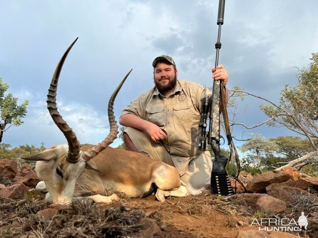 Impala Hunt South Africa