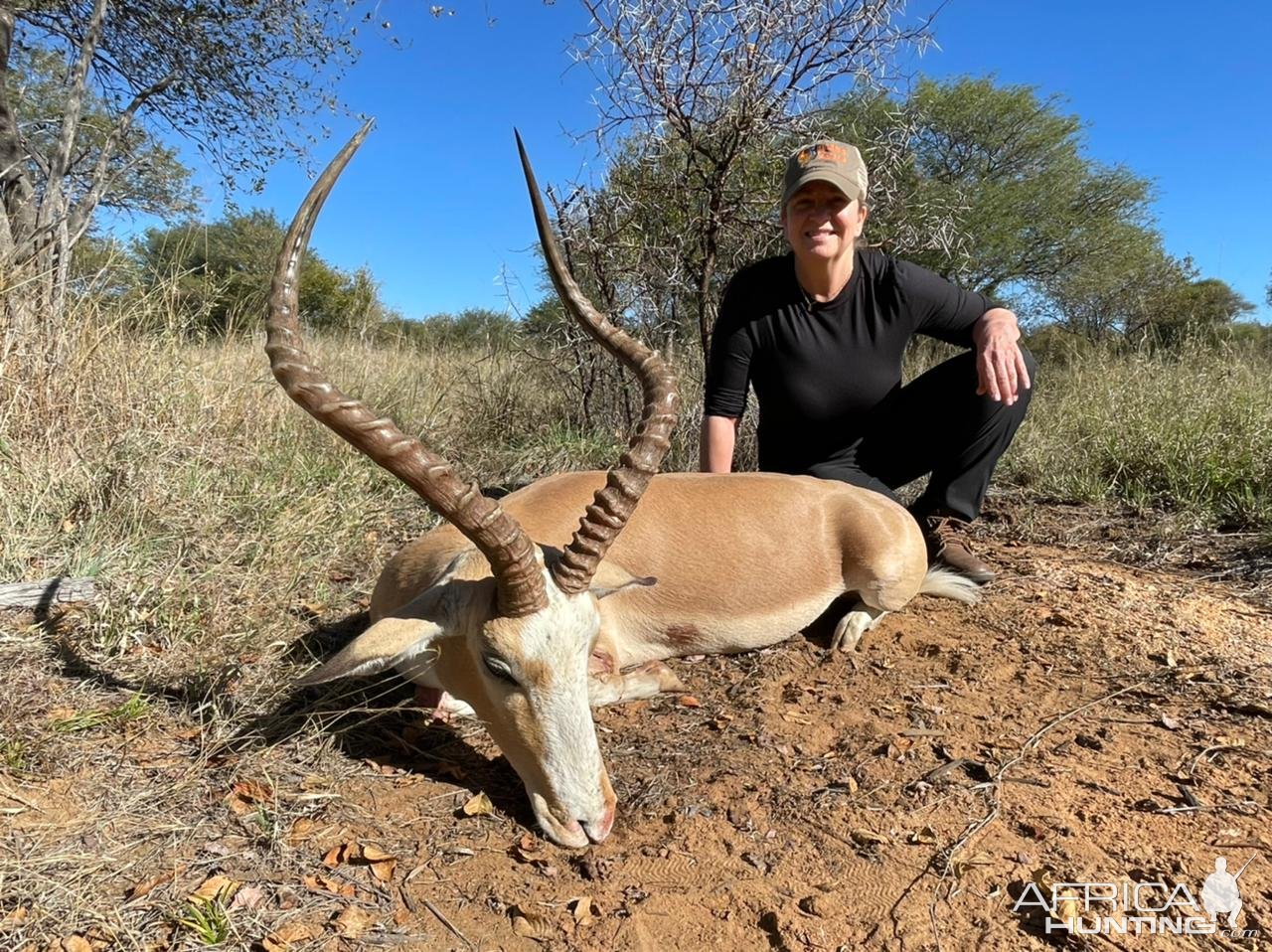 Impala Hunt South Africa