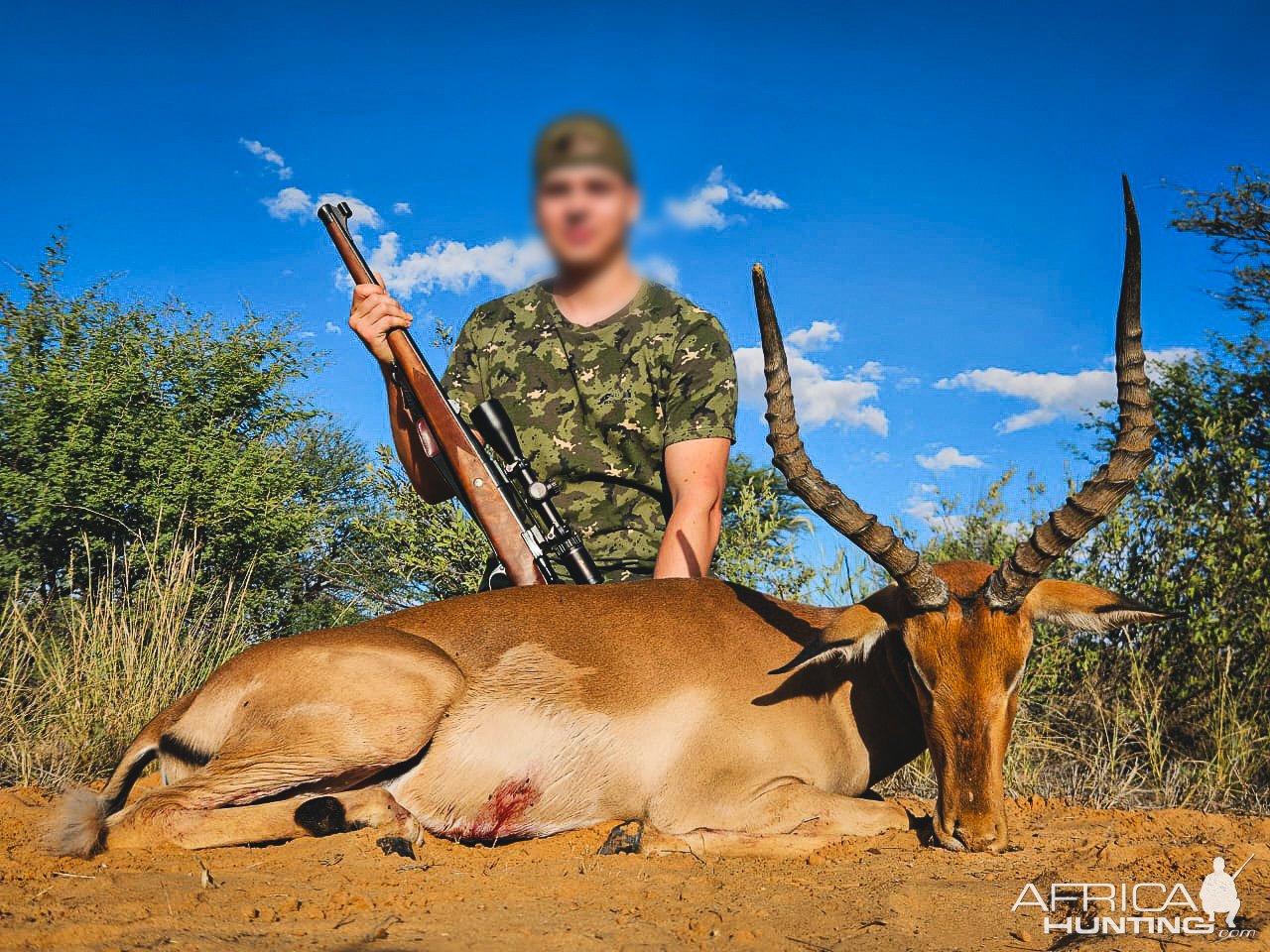 Impala Hunt South Africa