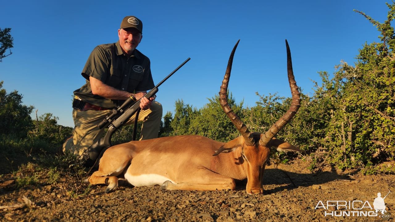 Impala Hunt South Africa