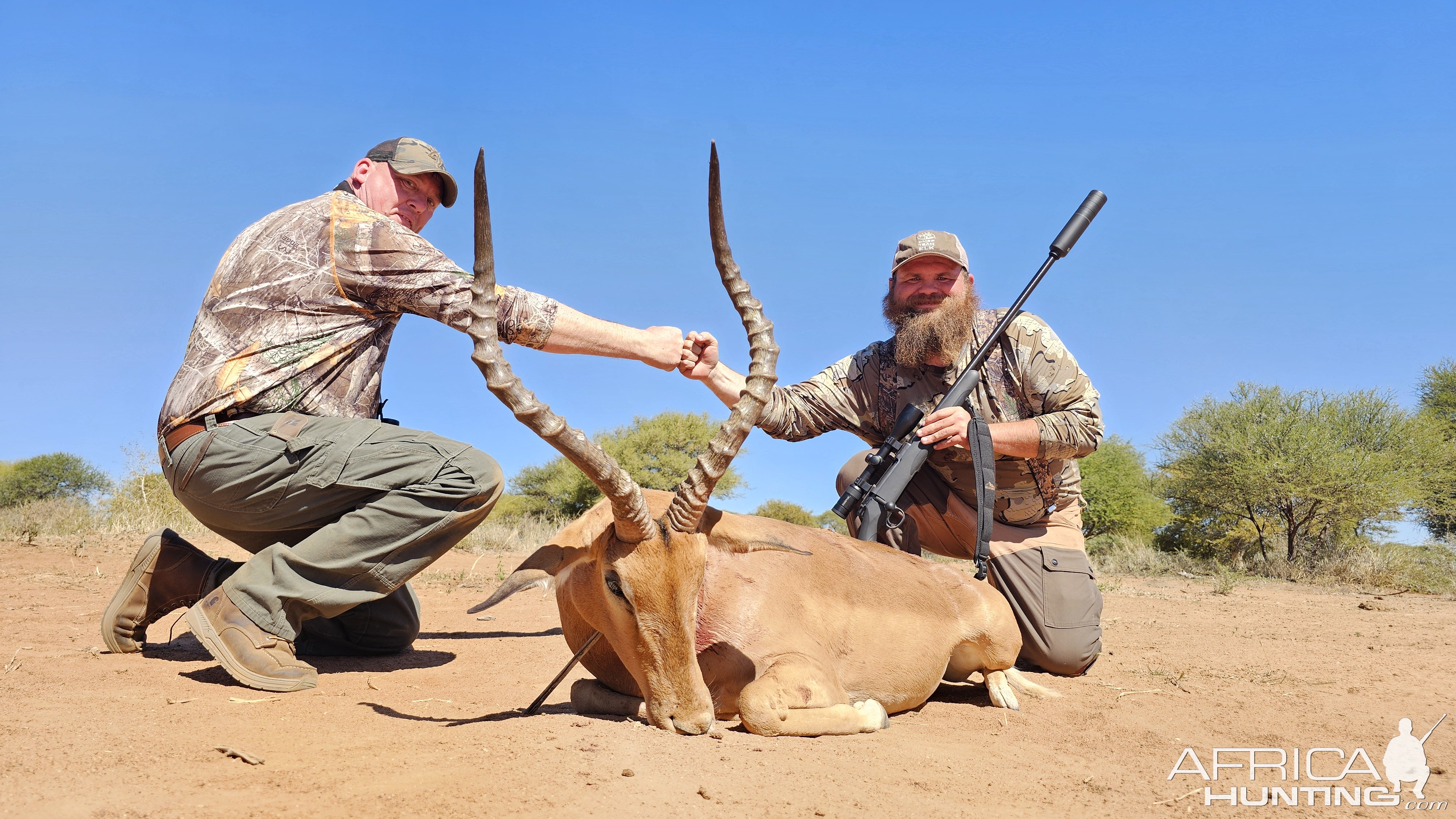 Impala Hunt South Africa