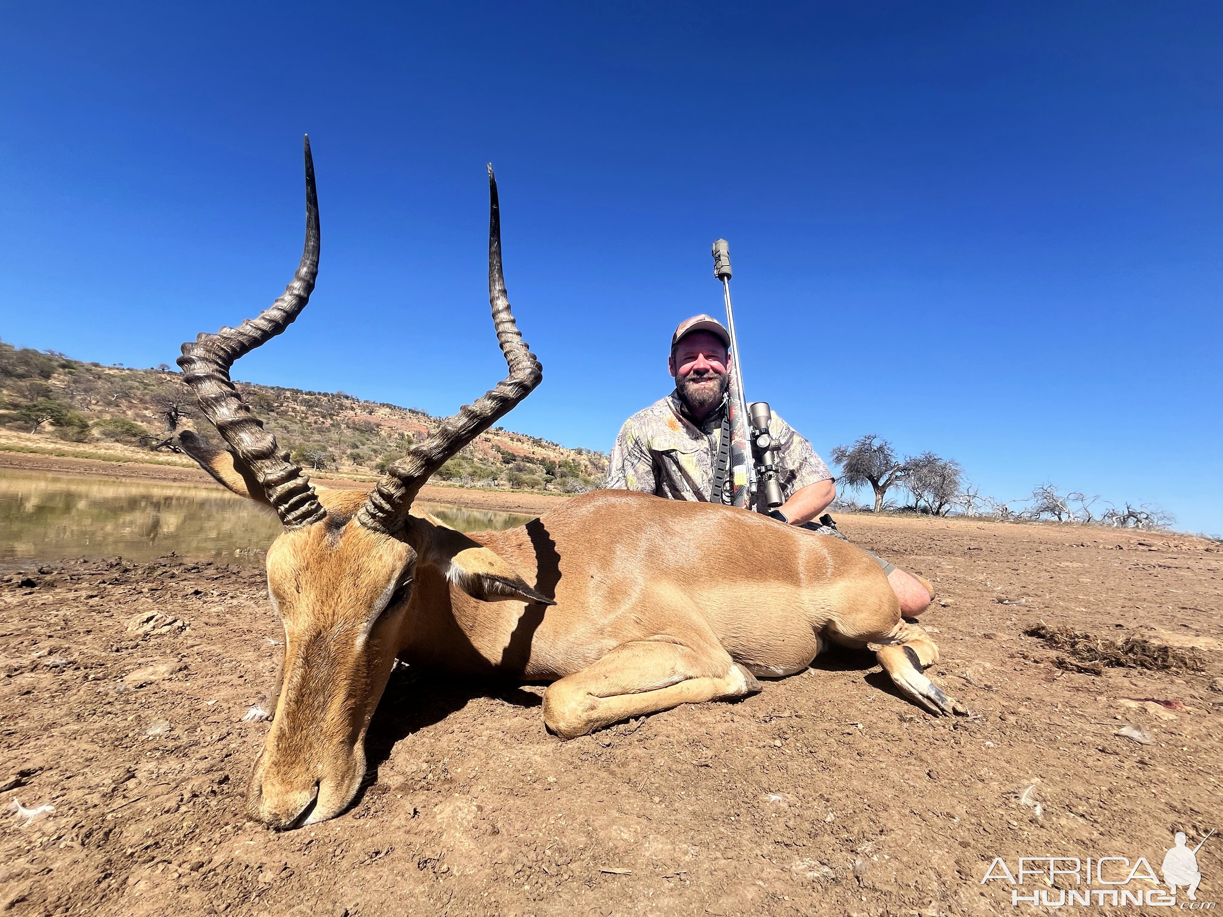 Impala Hunt South Africa