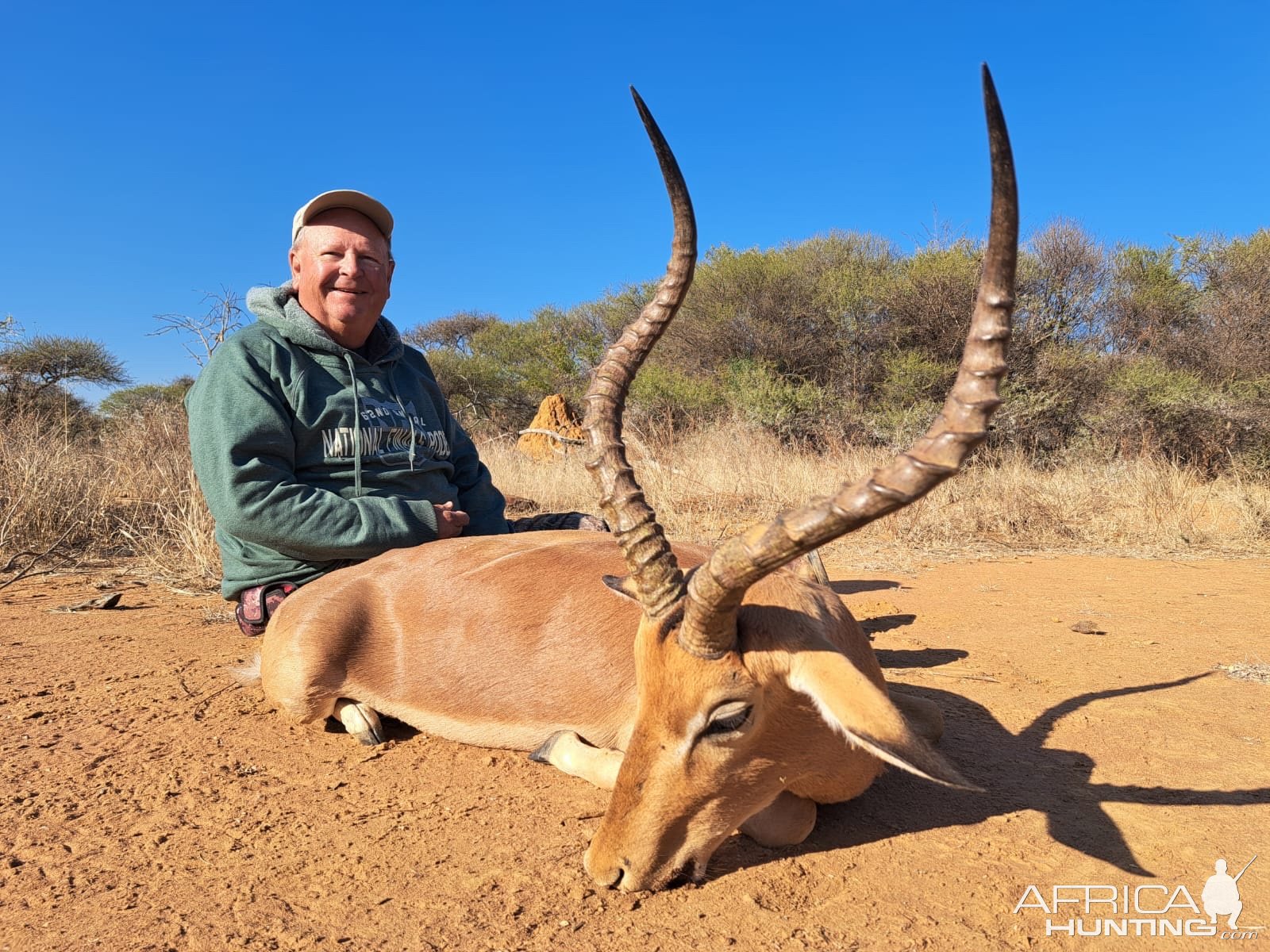 Impala Hunt South Africa