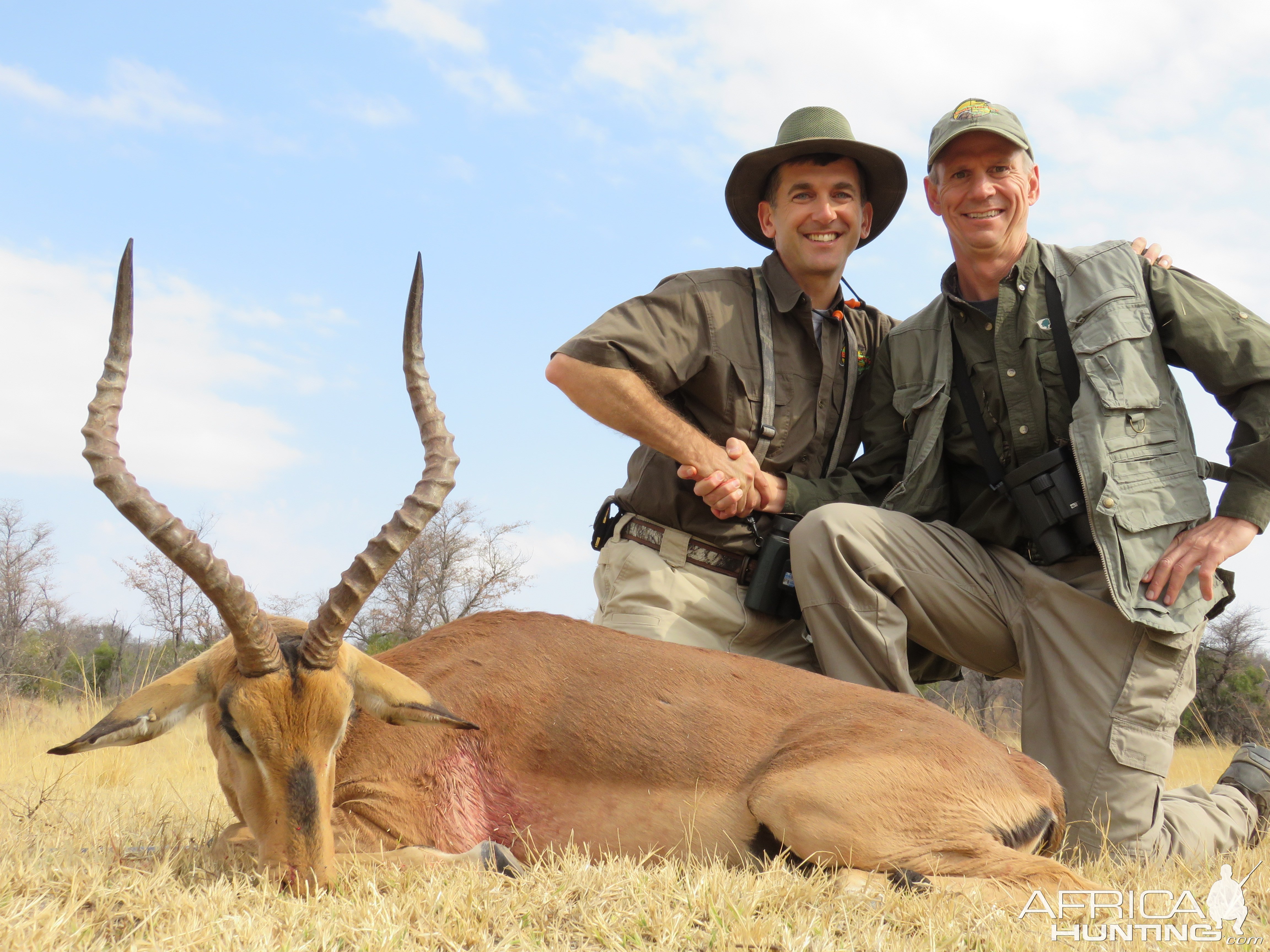 Impala Hunt South Africa