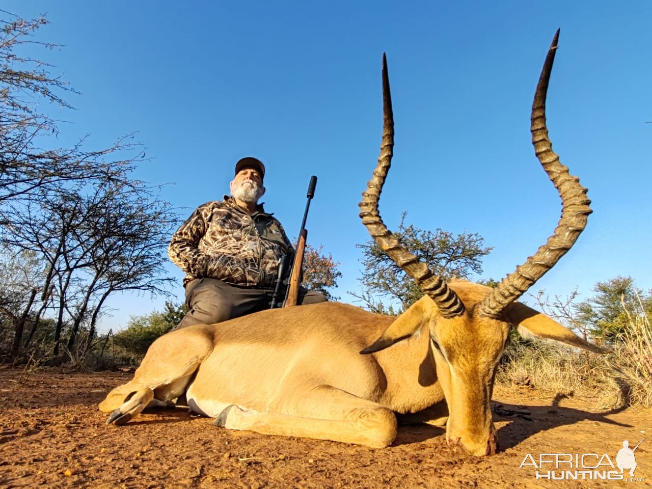 Impala Hunt South Africa