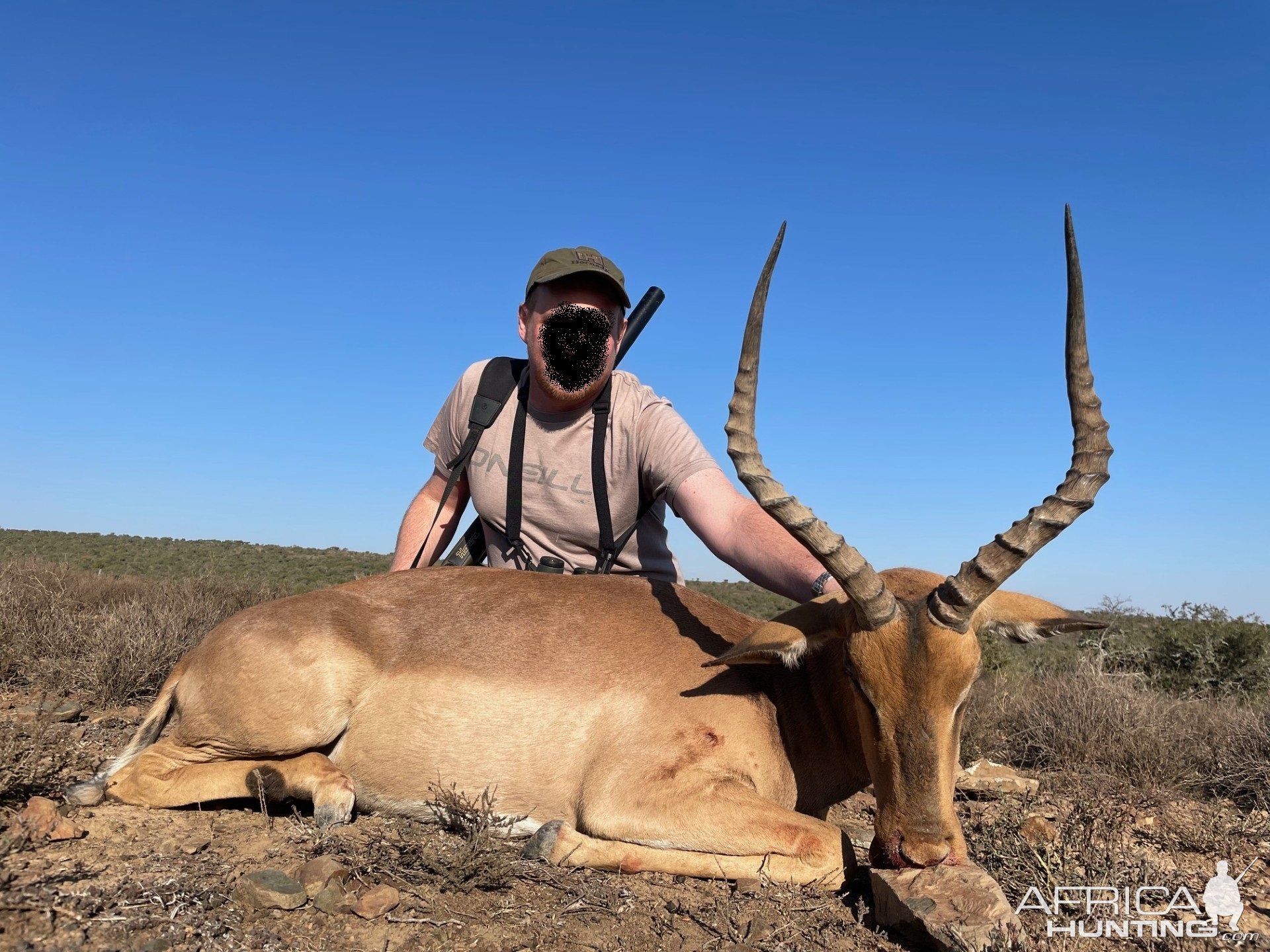 Impala Hunt South Africa