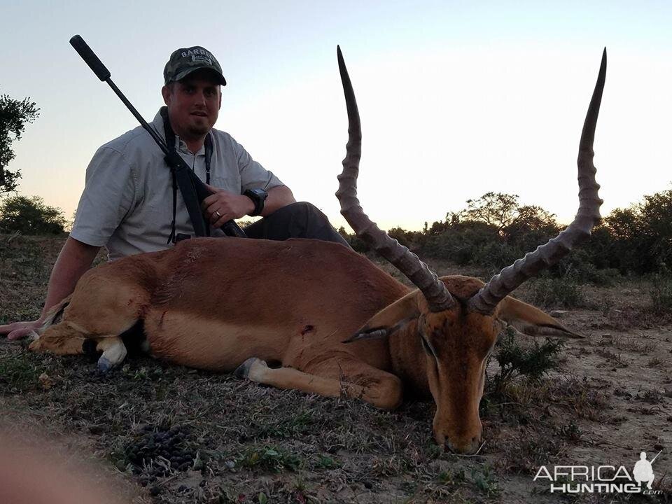 Impala Hunt South Africa