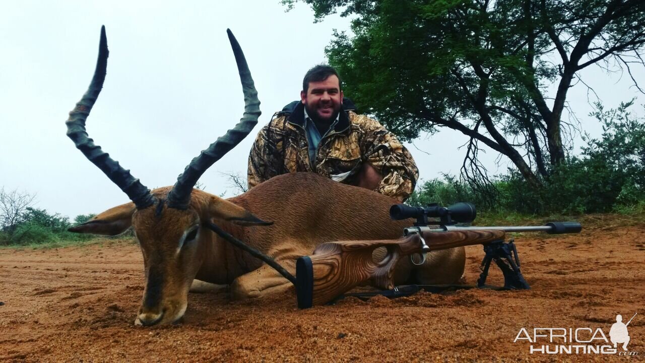 Impala Hunt South Africa