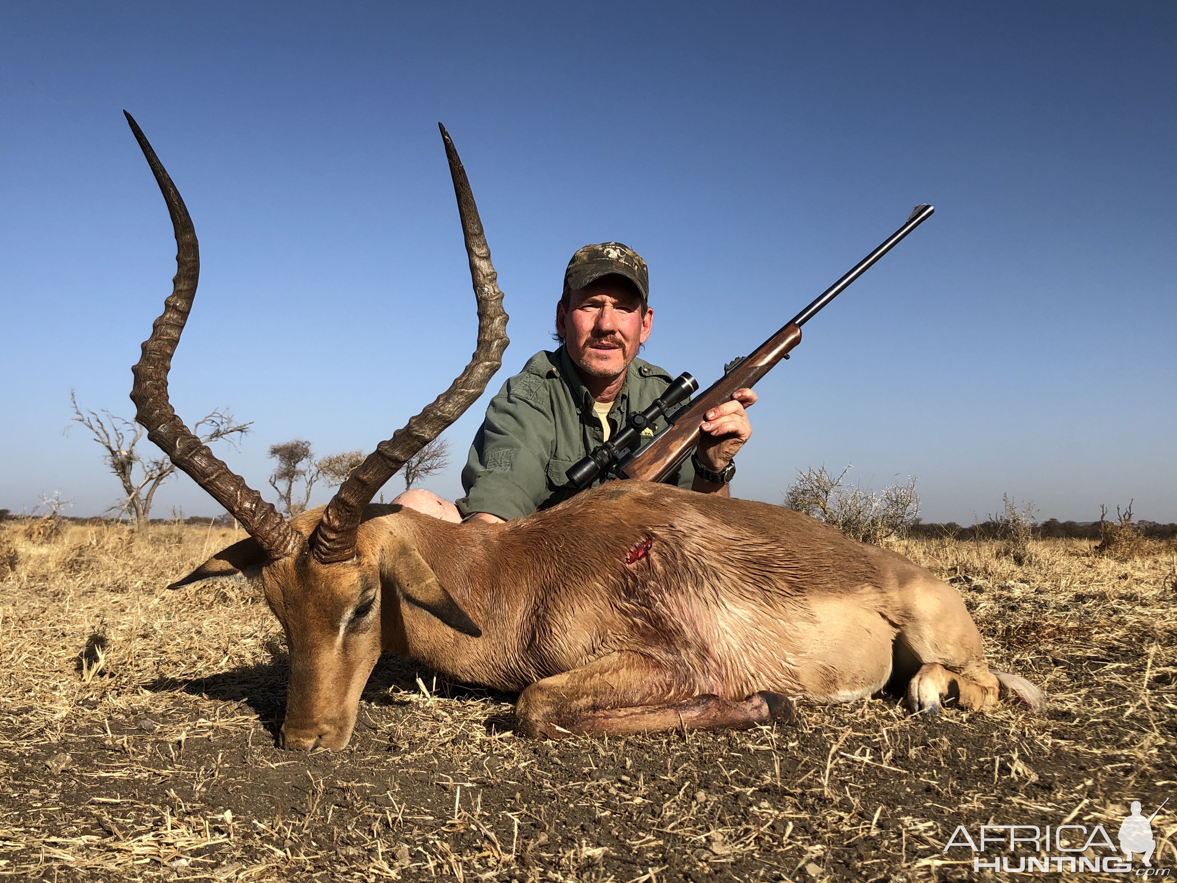 Impala Hunt South Africa