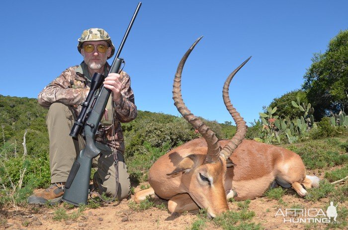 Impala Hunt South Africa