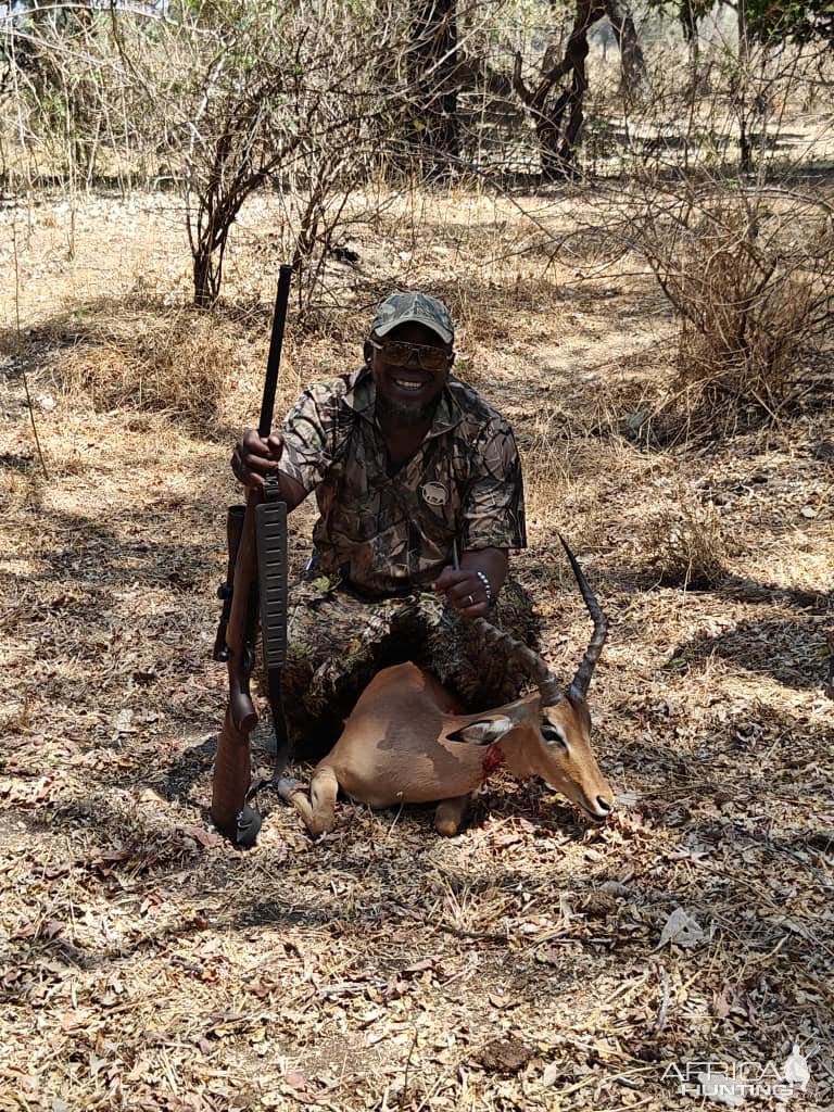 Impala Hunt Zambia