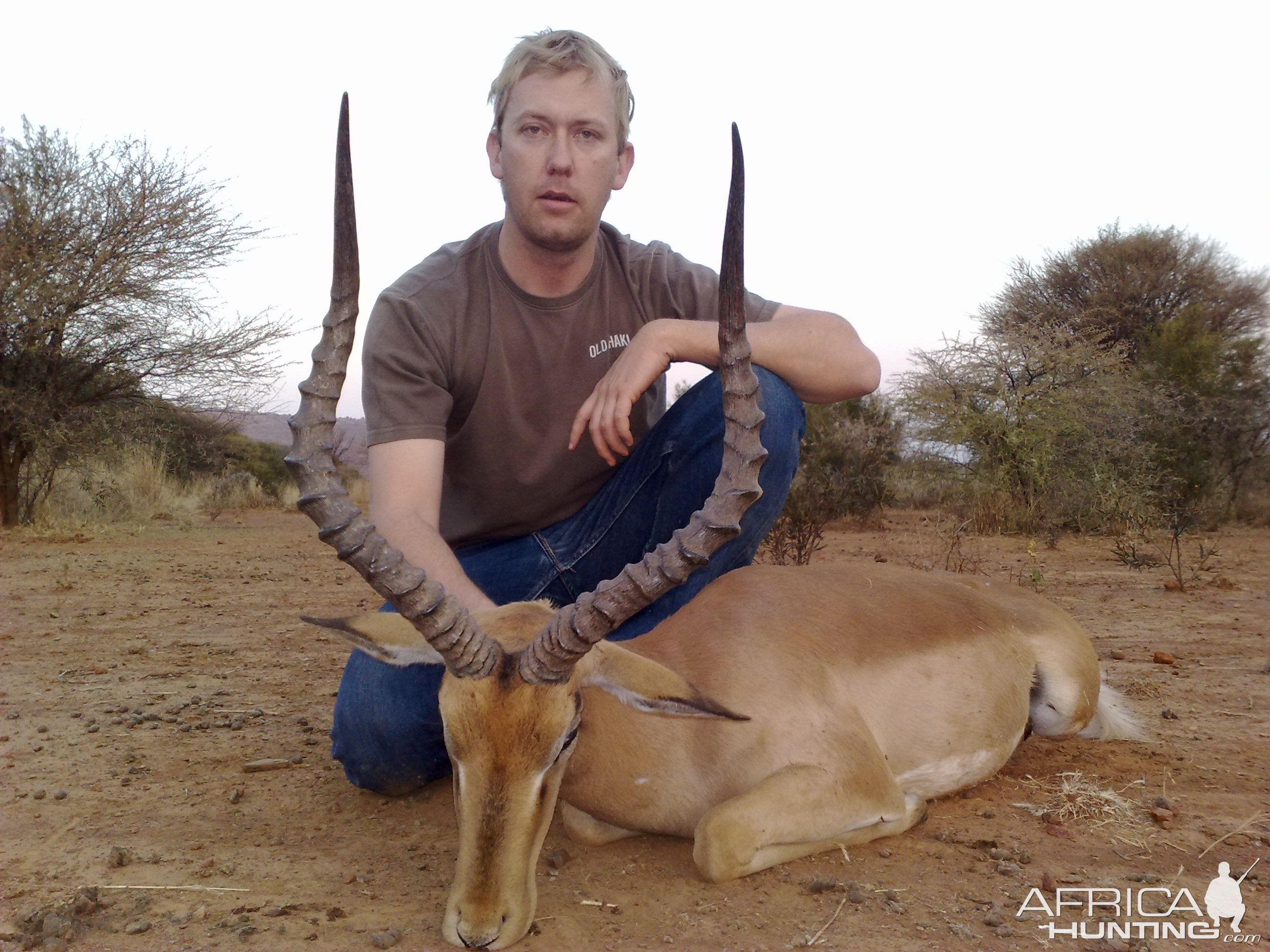 Impala hunt