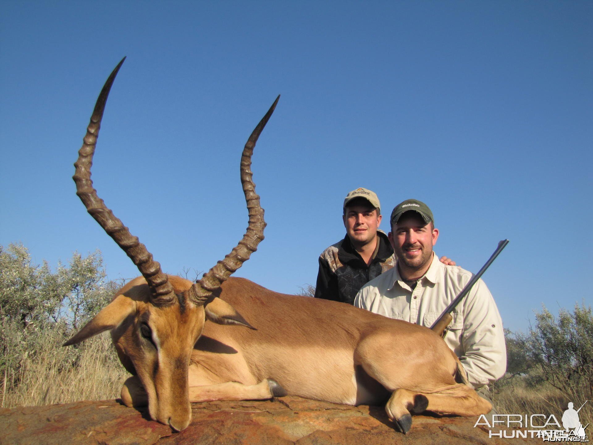 Impala hunted with Hartzview Safaris SA