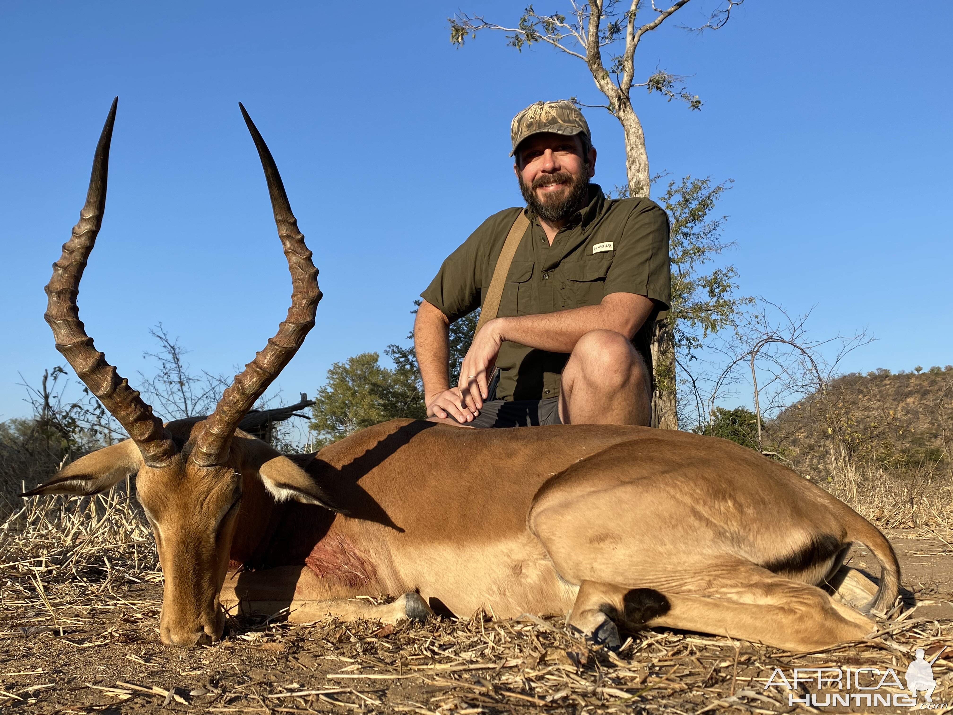 Impala Hunting Hwange Zimbabwe