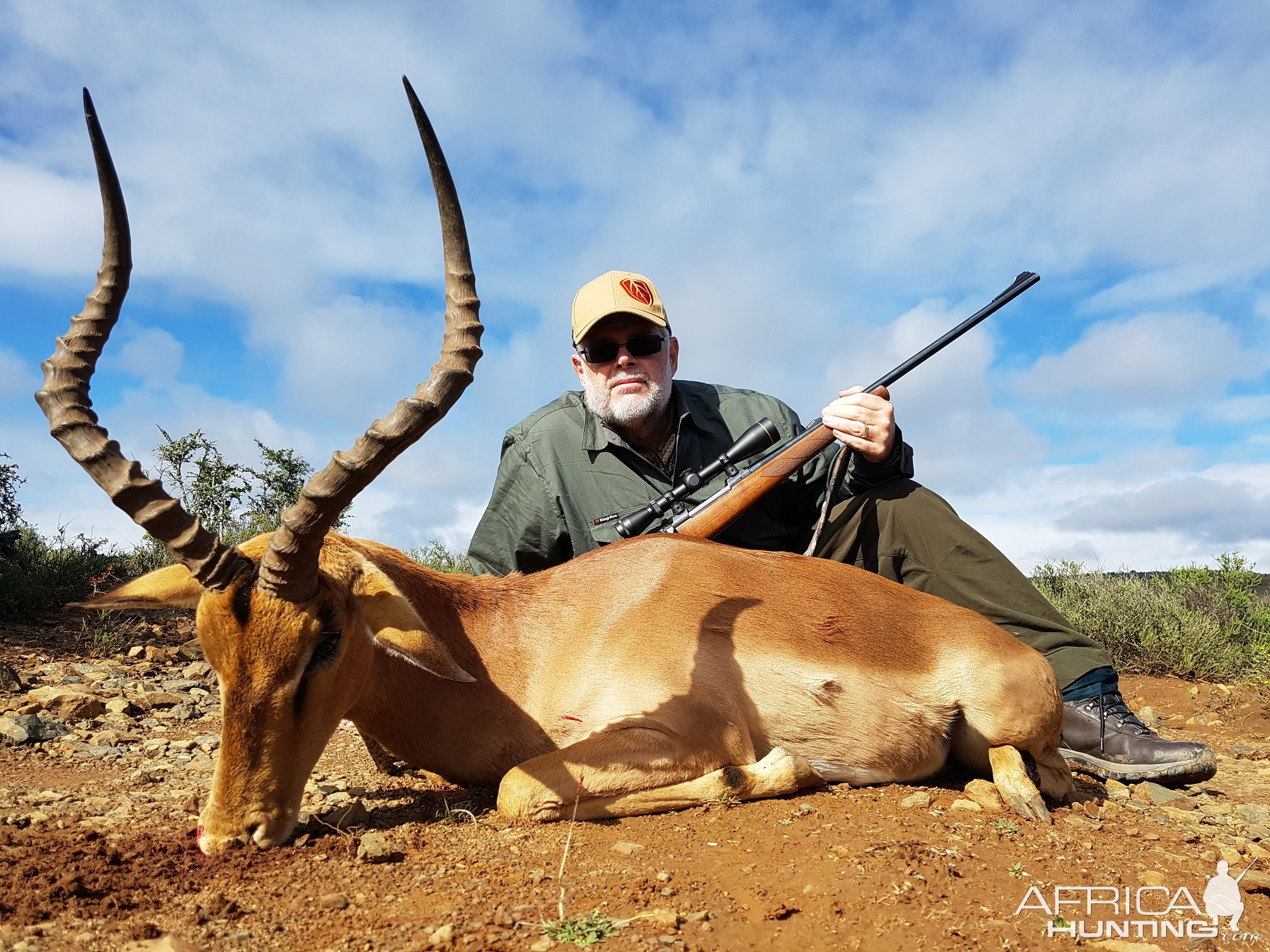 Impala Hunting Karoo South Africa